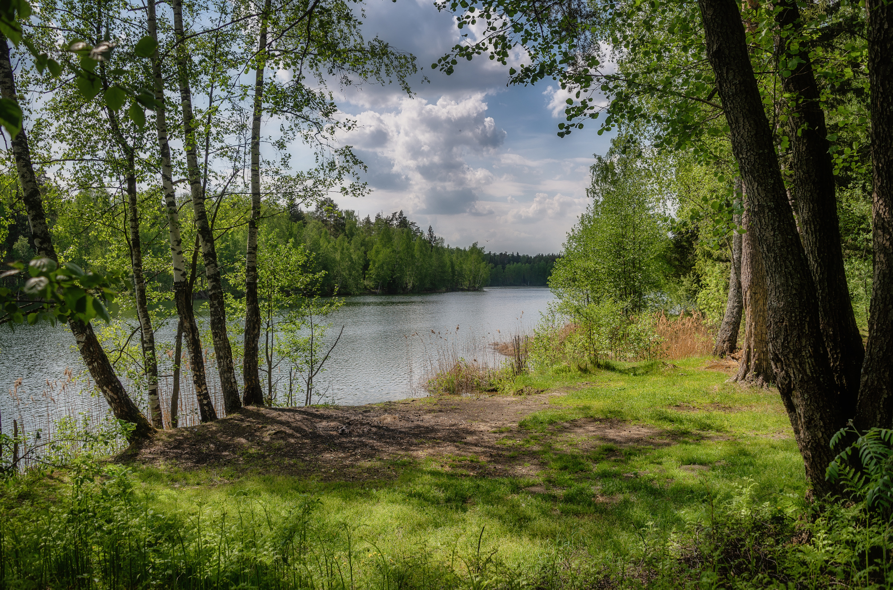 озеро, весна, лес, Сергей Аникин