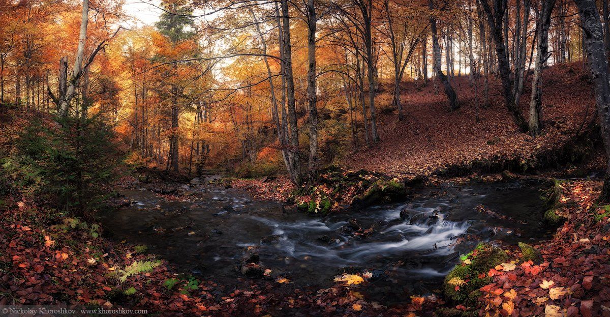 Карпаты, Лес, Осень, Панорама, Украина, Николай Хорошков