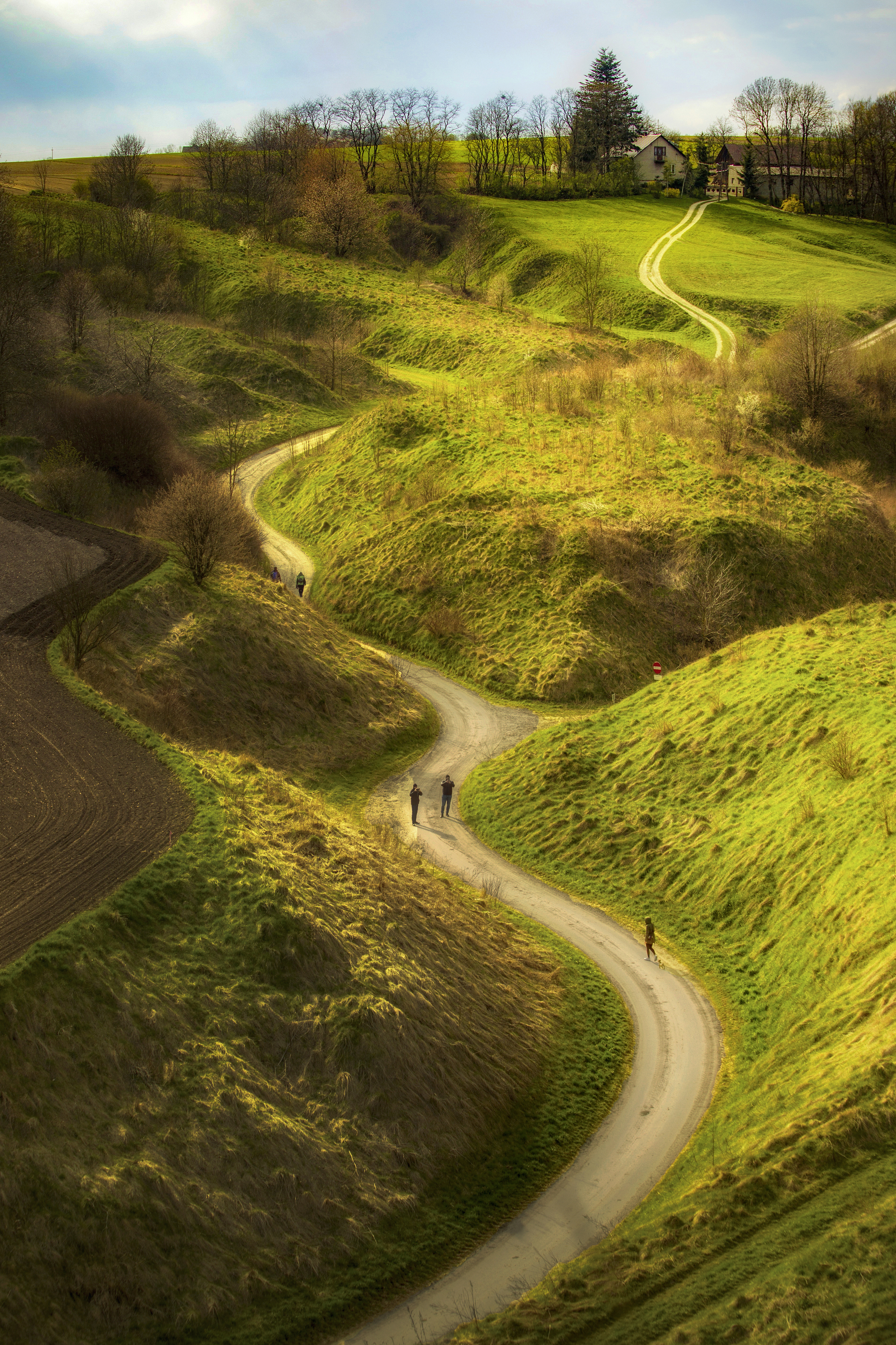 Nature, Road, Mountain, Day, Hill, Grass, Landscape, Rural, Ponidzie, Stradów, Poland, Shire, Damian Cyfka