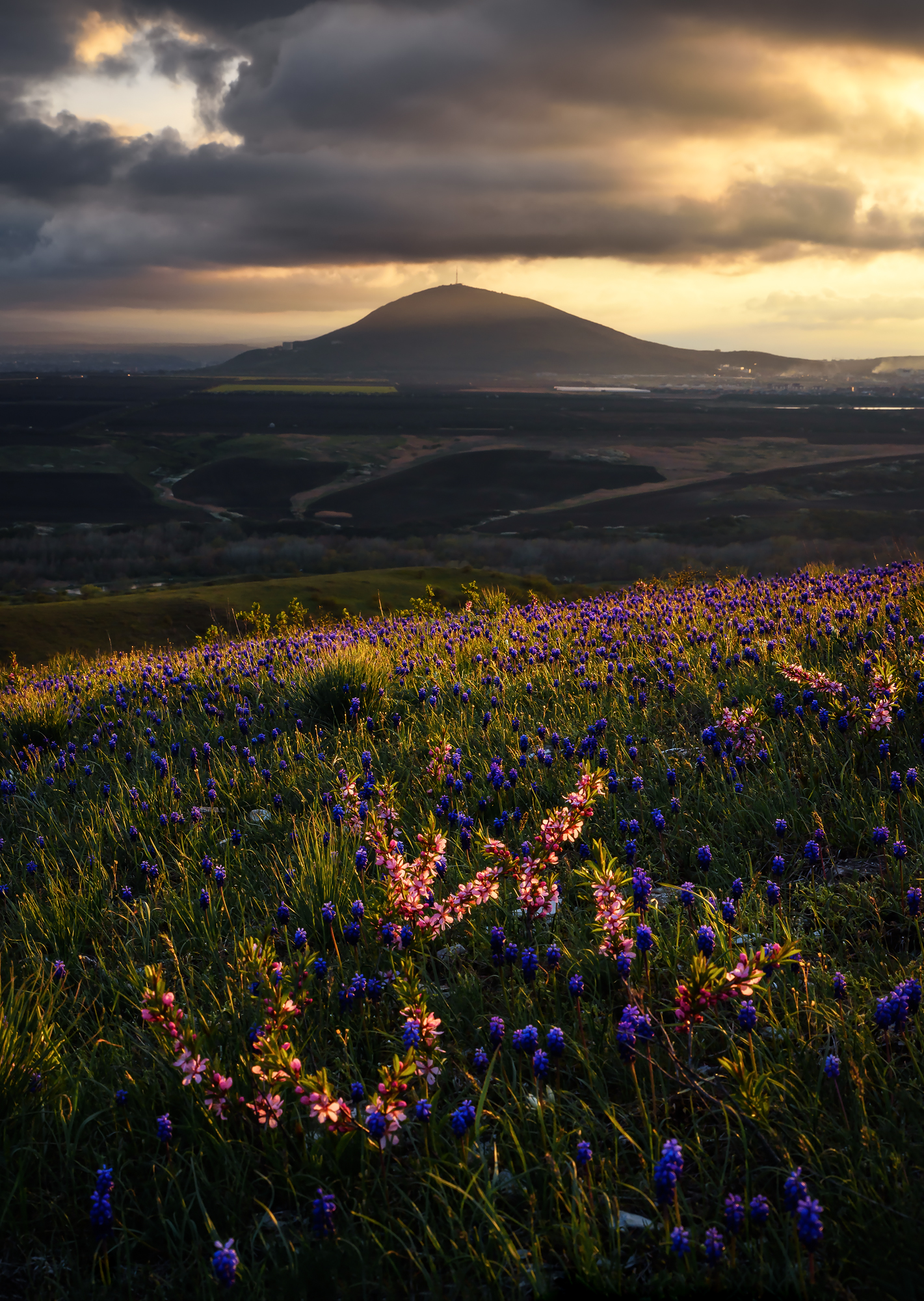 кавказ, горы, машук, цветы, весна, вечер, закат, Zakharov Armen