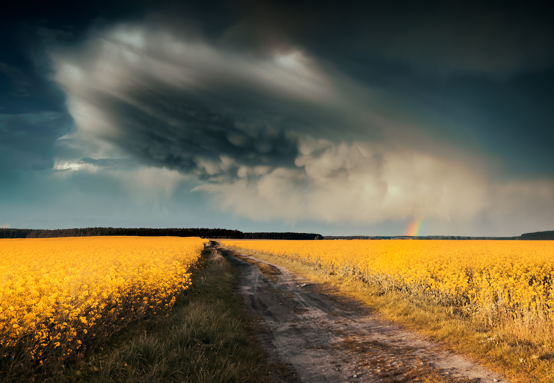 nature, clouds, sky, field, rapefield, weather, today, Wojciech Grzanka