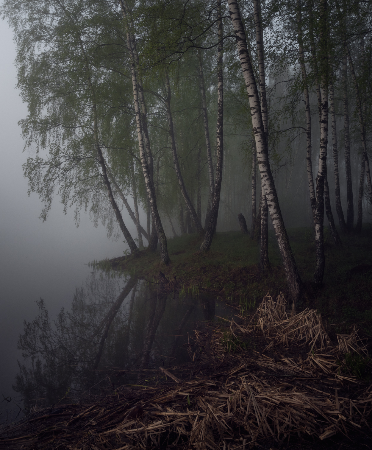 река, свет, утро, природа, тульская обл., Баранов Олег