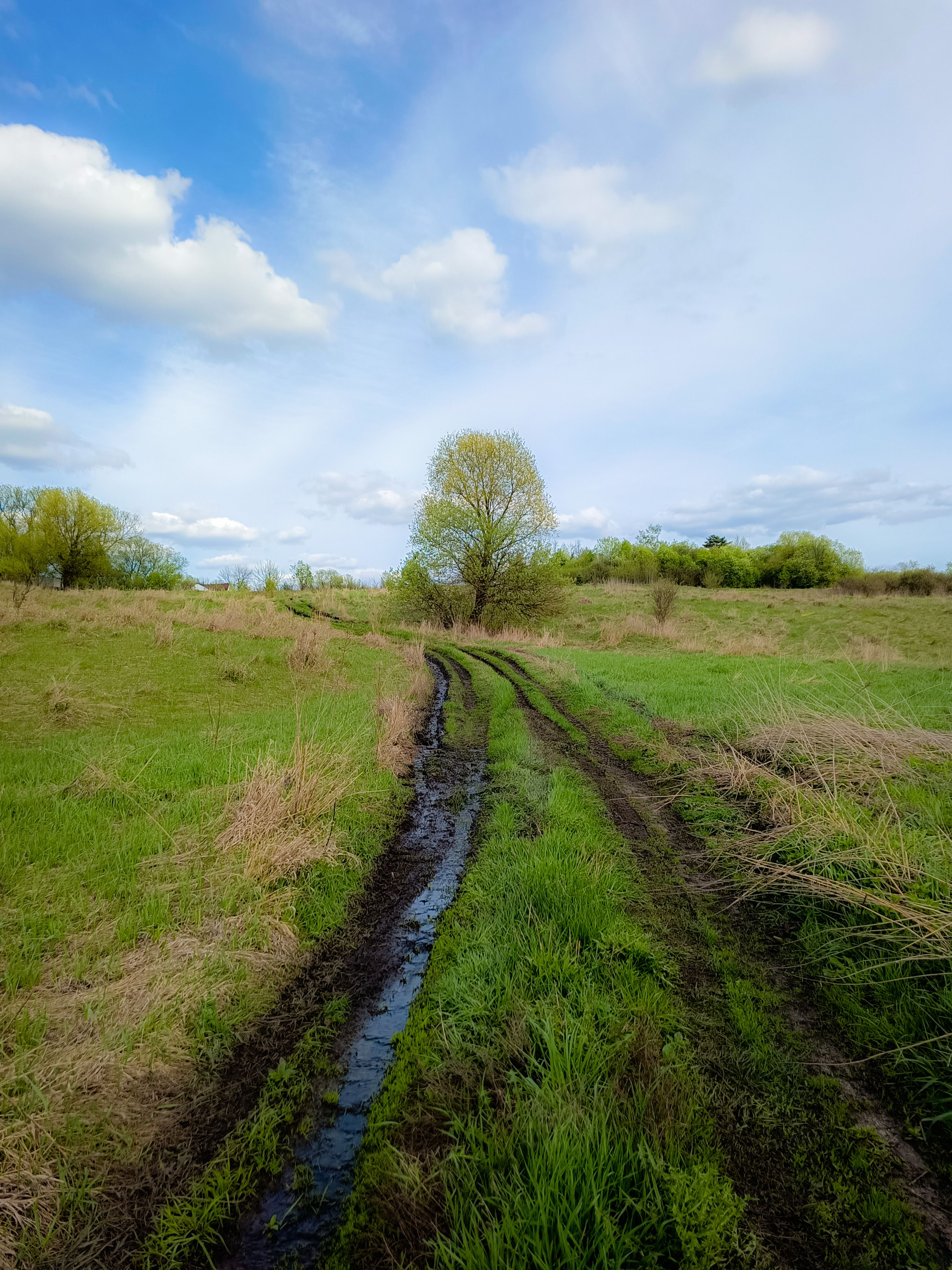 , Кондрашова Светлана