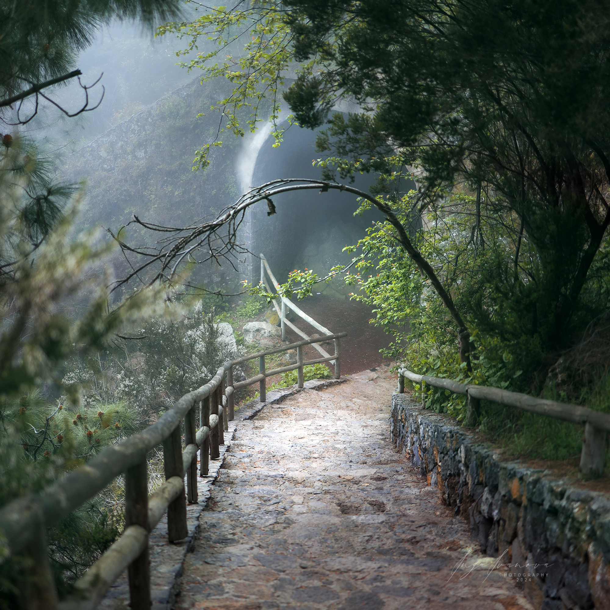 teide, canary islands tenerife, Inga Ivanova