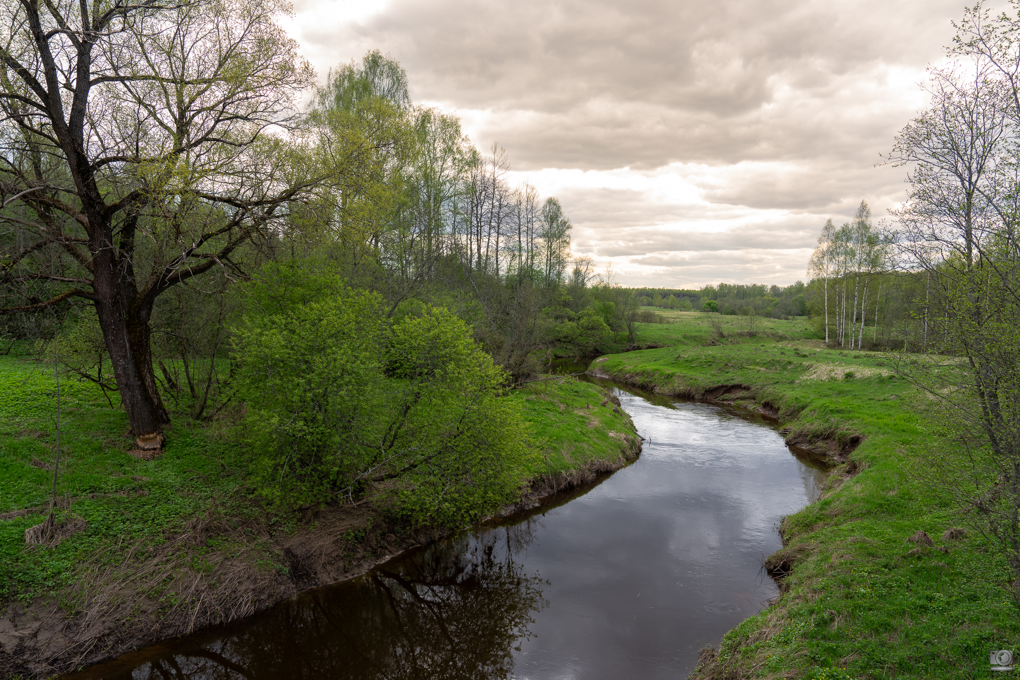 река, Ковалев Дмитрий
