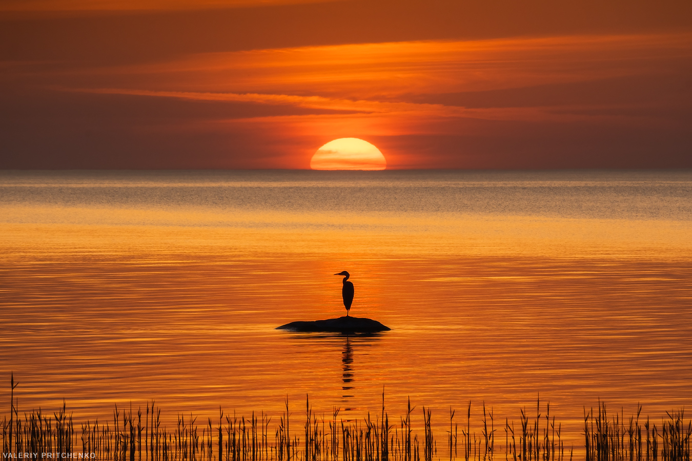 природа, пейзаж, вечер, закат, landscape, nature, sunset, Валерий Притченко