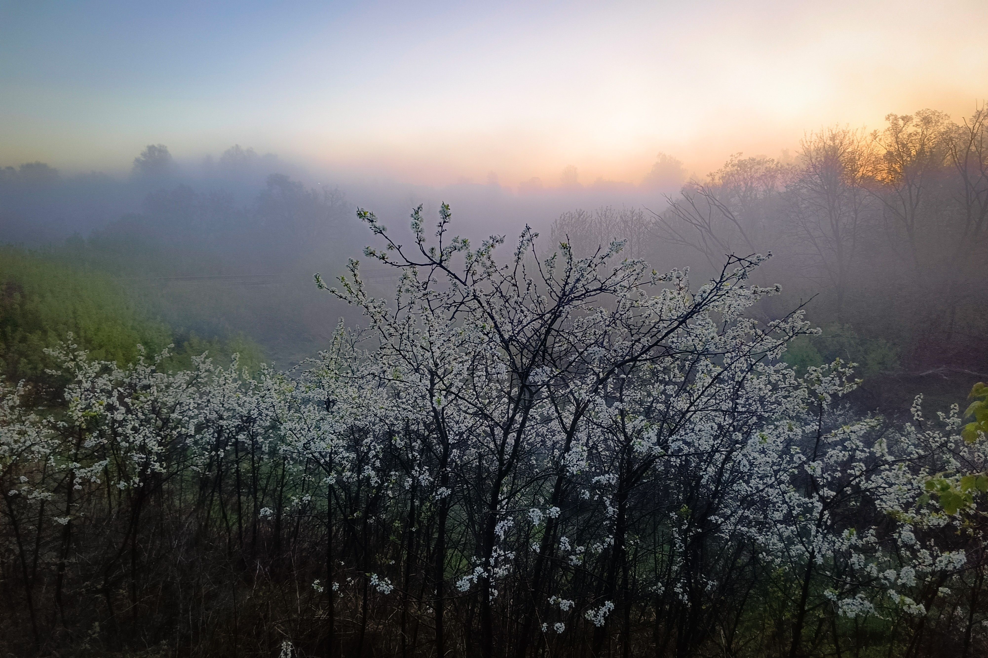 , Кондрашова Светлана