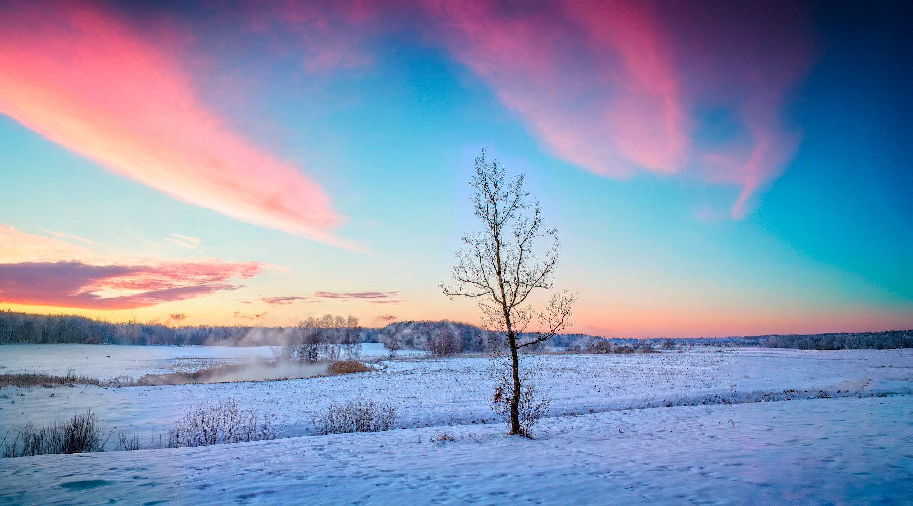 зима, рассвет, дерево, дымка, небо,, Сергей Шабуневич