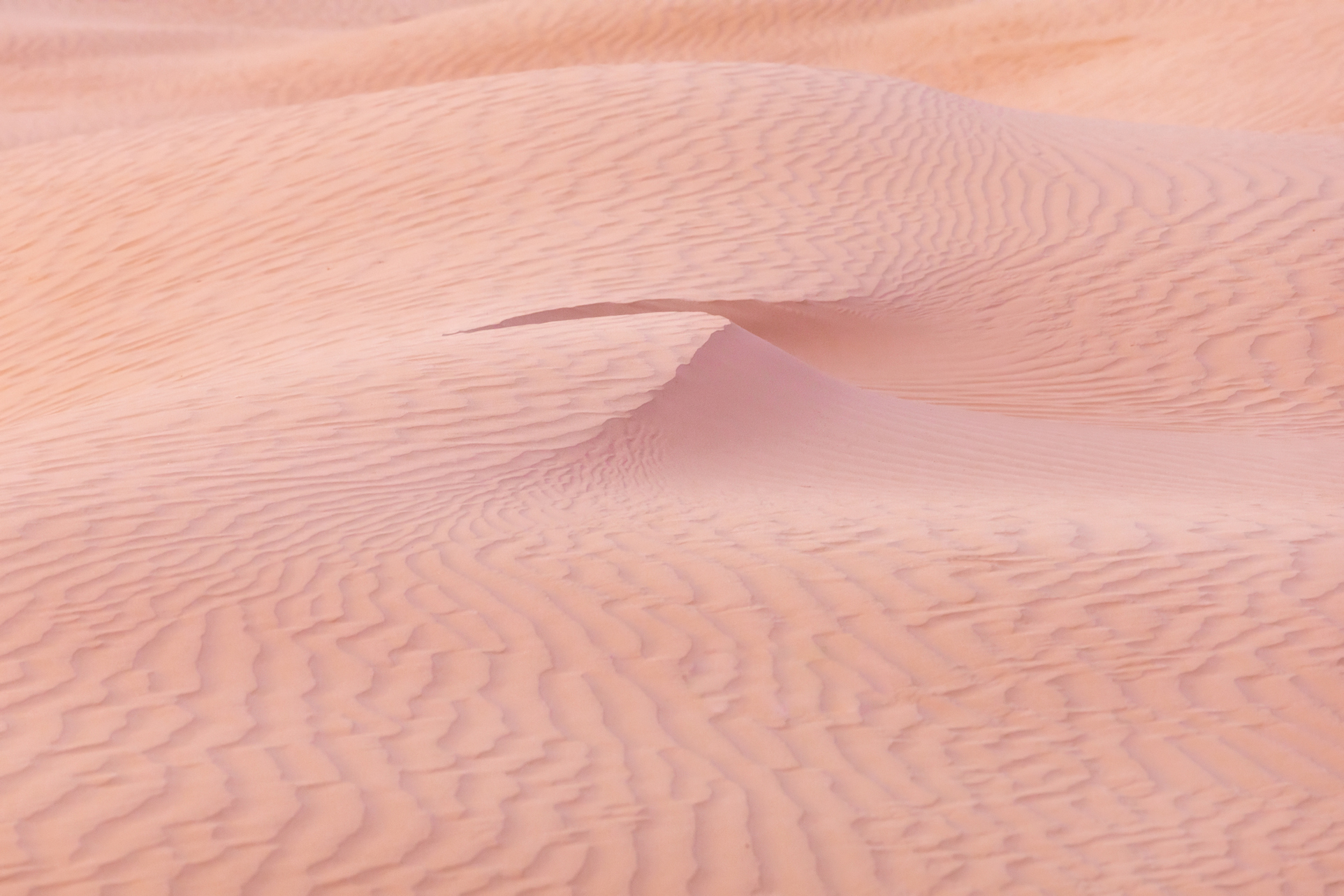астрахань, астраханская область, пустыня, песок, дюны, закат, Влад Рябинин