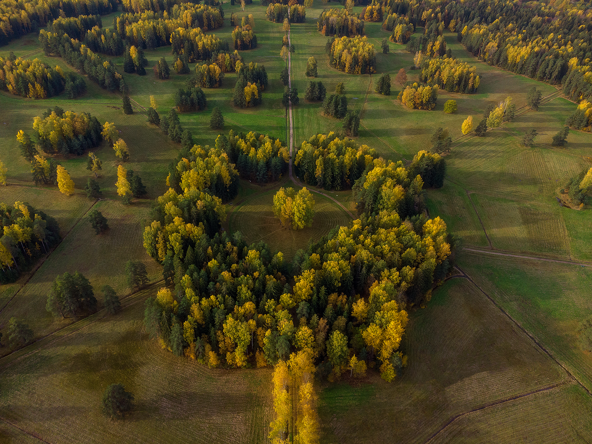 , Александр Пашеничев