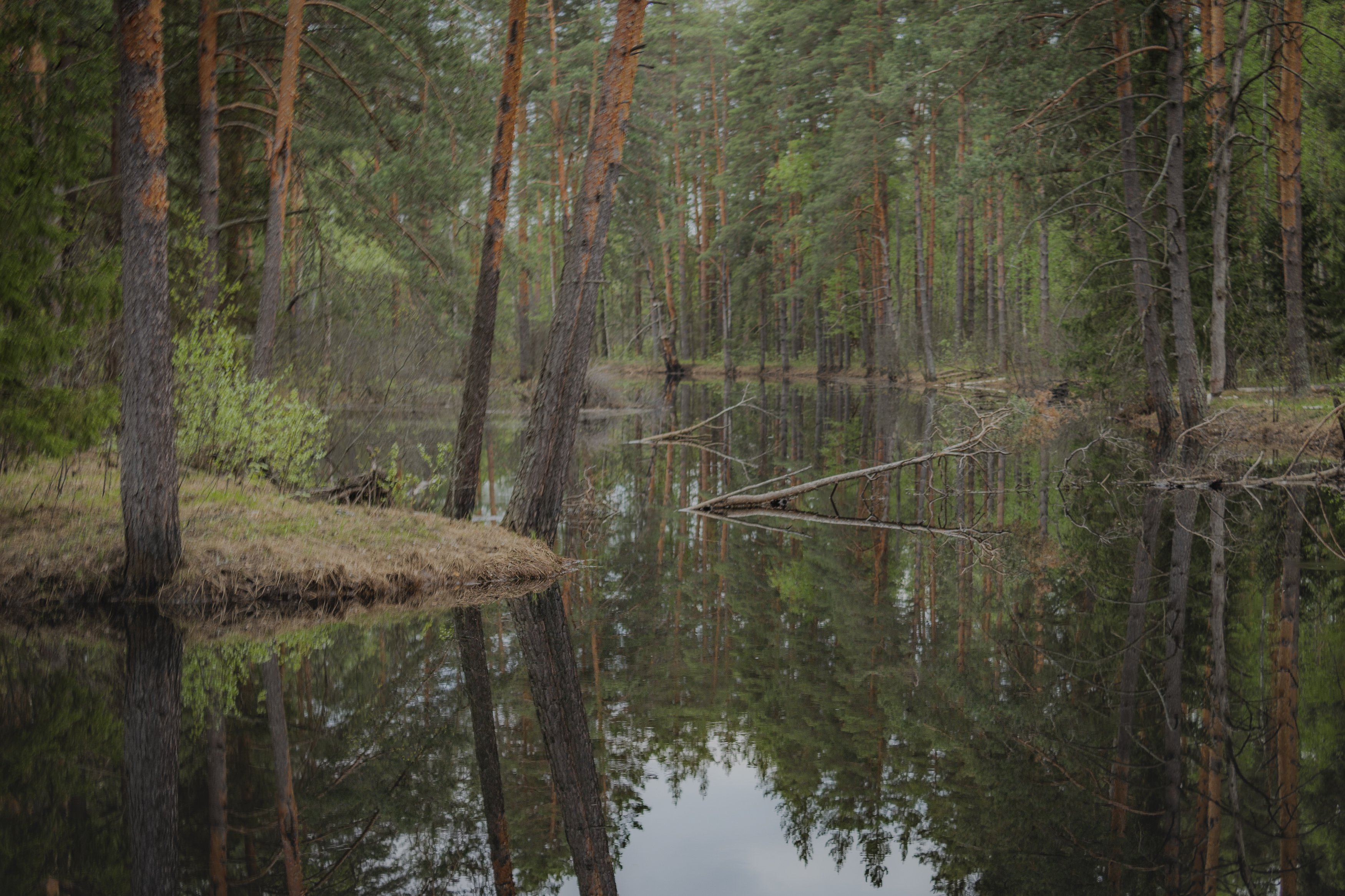 , Лаврентьев Александр