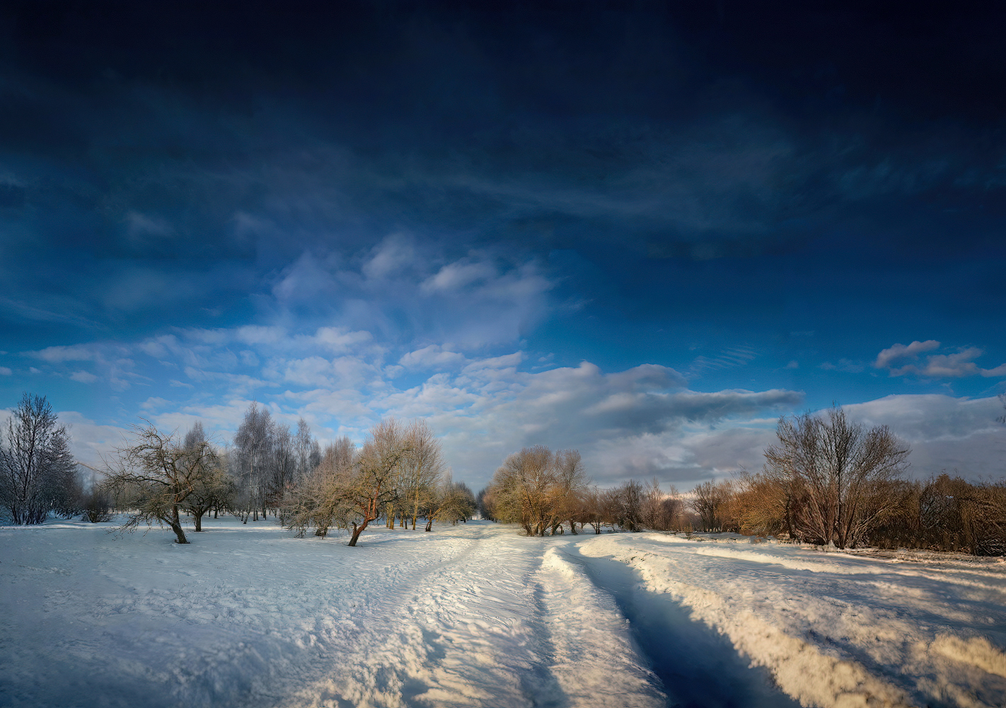 зима, снег, дорожка, небо,, Сергей Шабуневич