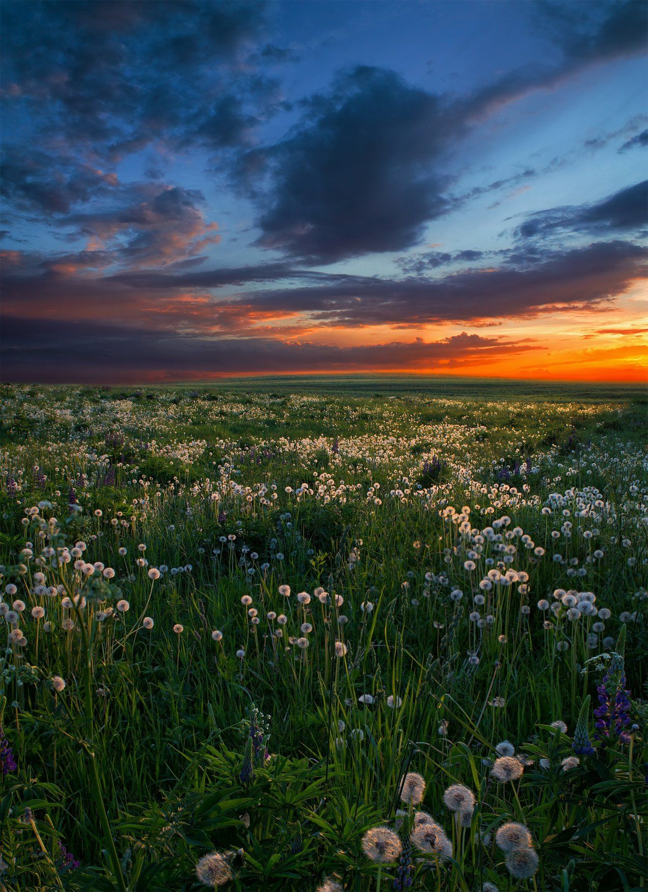 Фотографии Красивого Поля