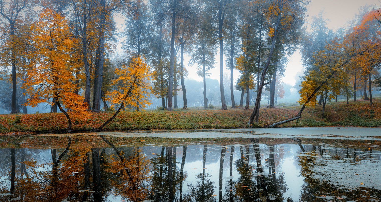 пейзаж,природа,цвет,осень,никон,nikon, Морозов Юрий