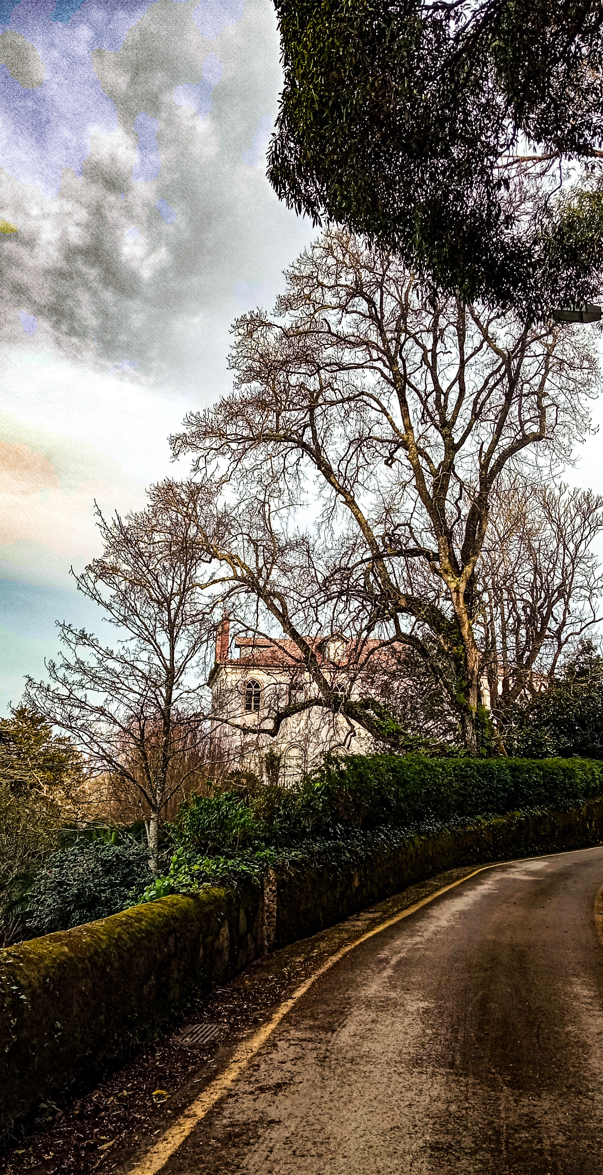 Nature, Landscapes, Countryside, Machado Carlos