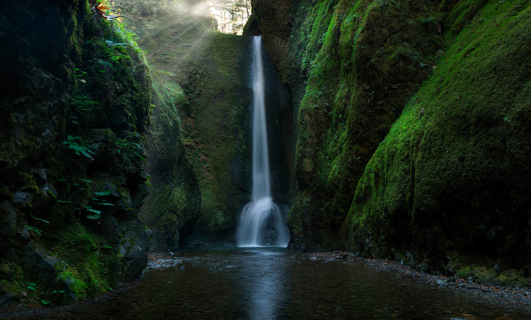 waterfall, green canyon, lush, Oregon, Oneonta gorge,, Gubski Alexander