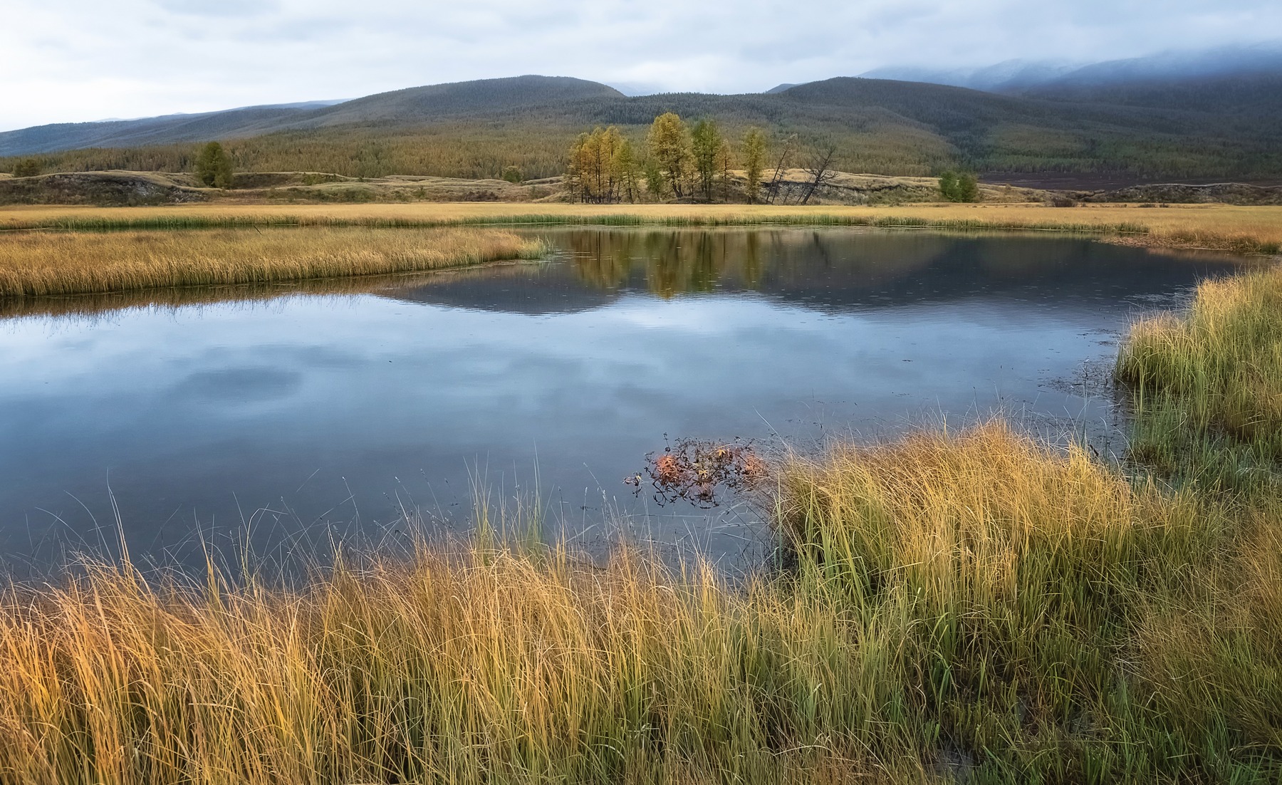 осень, дождь, Джангысколь, Алтай, Фомина Марина