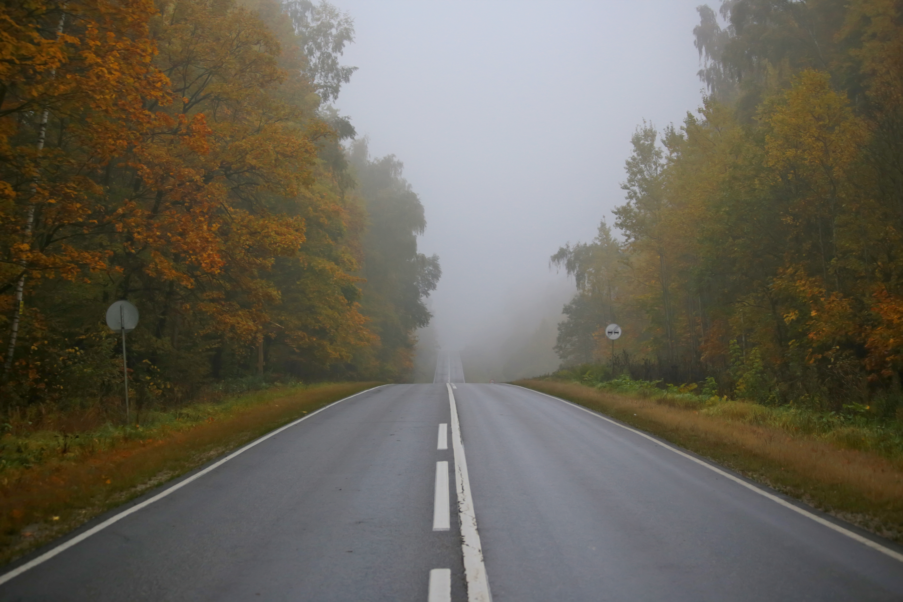 пейзаж, дорога, осень, деревья, свет, желтые деревья, Стасов Виталий