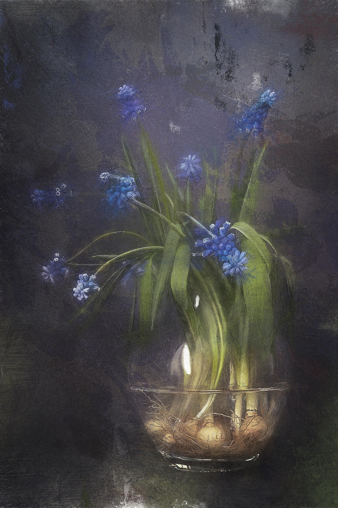 muscari, still-life, spring flowers, мускари, натюрморт, букет, цветы, весенние цветы, первоцветы,  Eirene