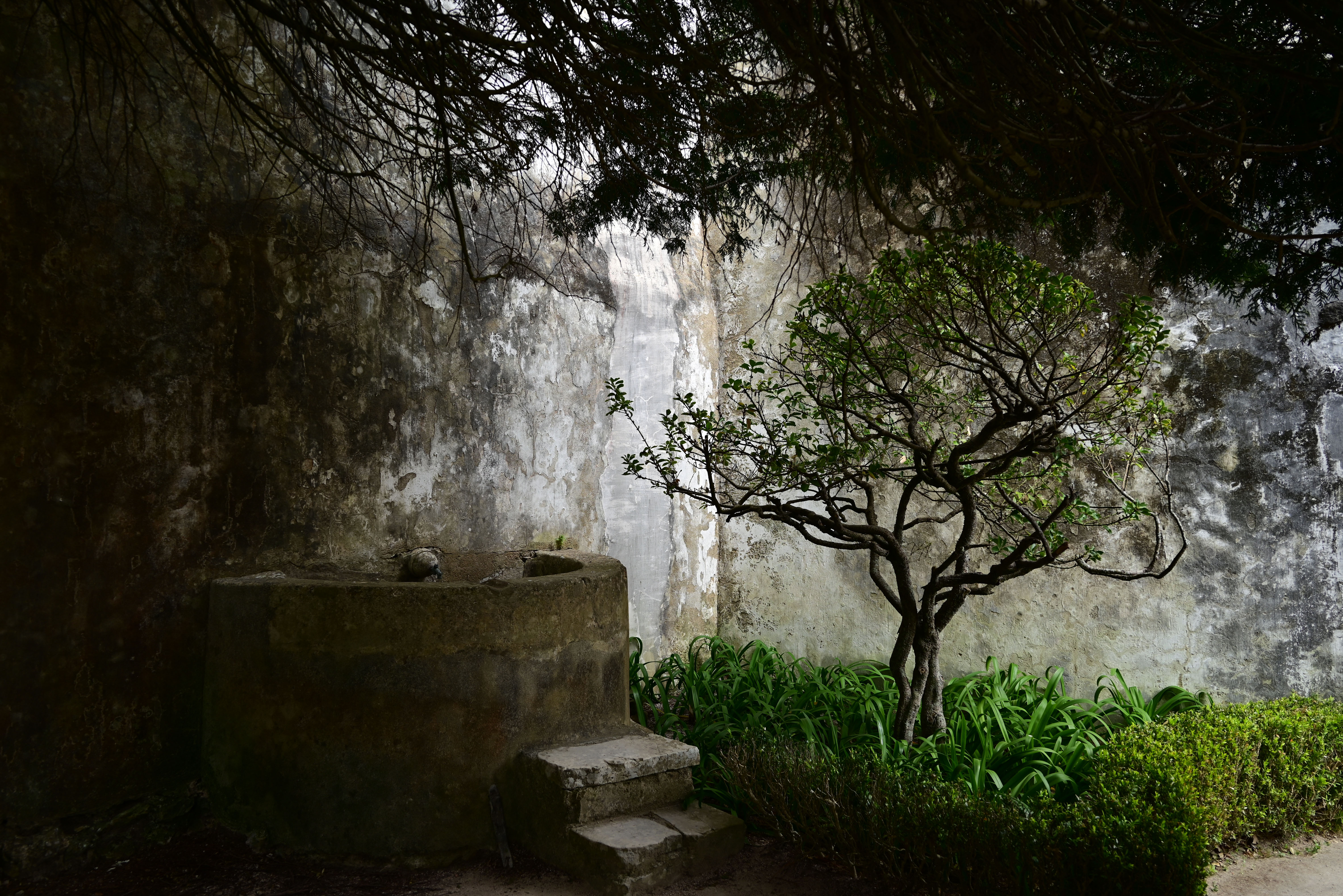 Nature, gardens, Palace, Machado Carlos