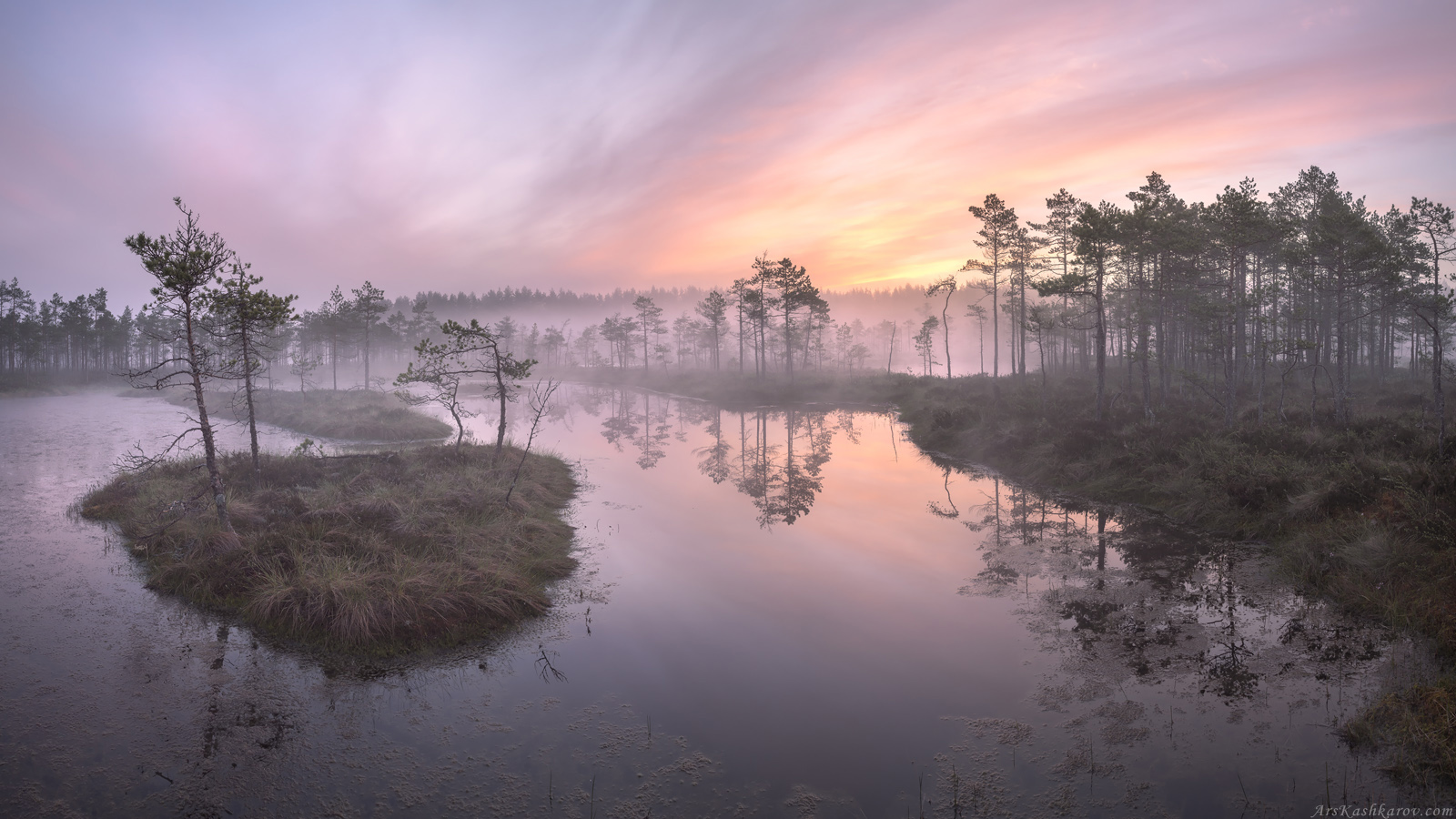 болота, природа ленинградской области, пейзажи ленобласти, утренний туман, живопись северных болот, фототур, Арсений Кашкаров