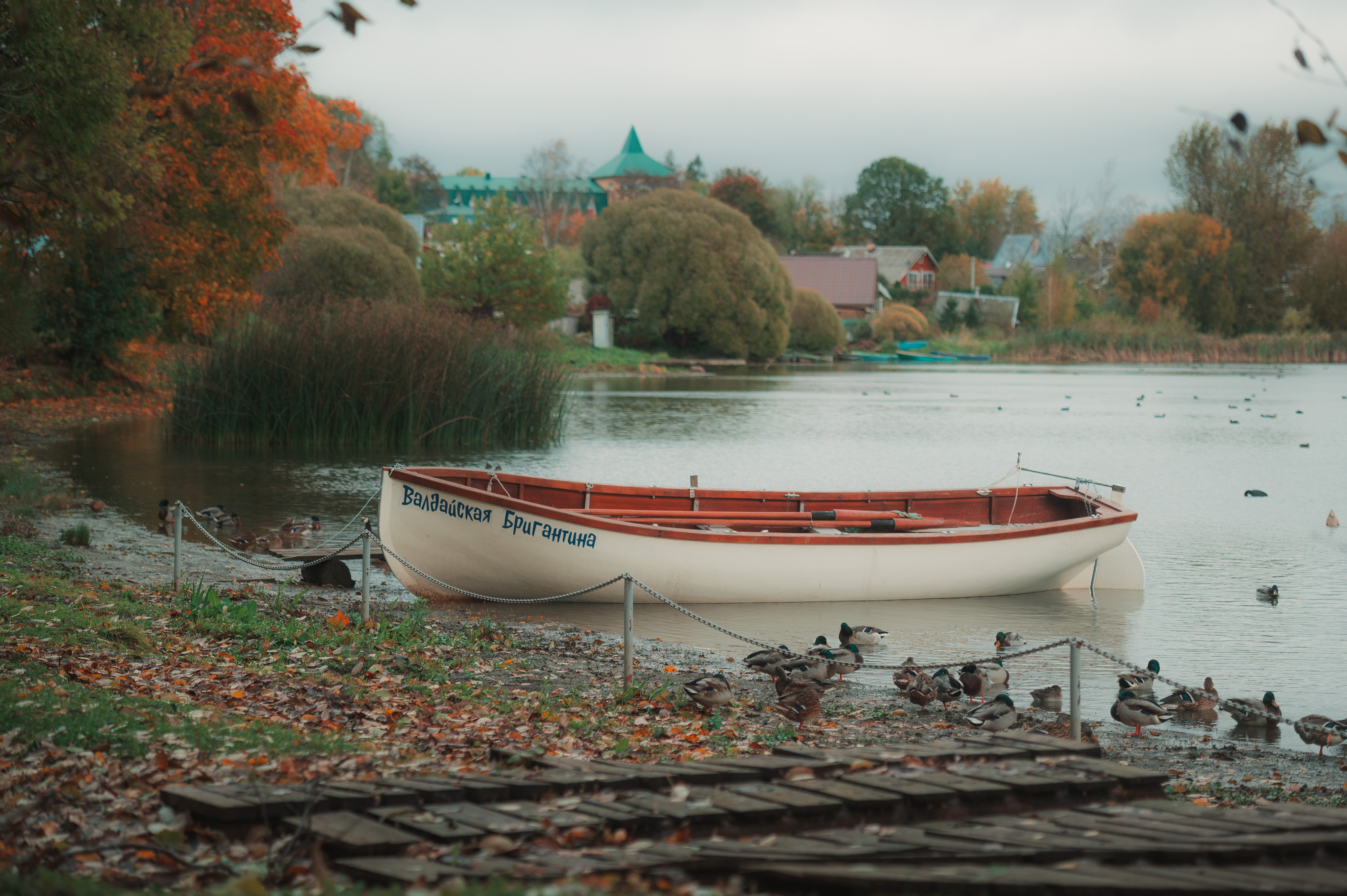 boat, valdai, autumn, lake, birds, water, landescape, валдай, лодка, осень, пейзаж,, Бугримов Егор