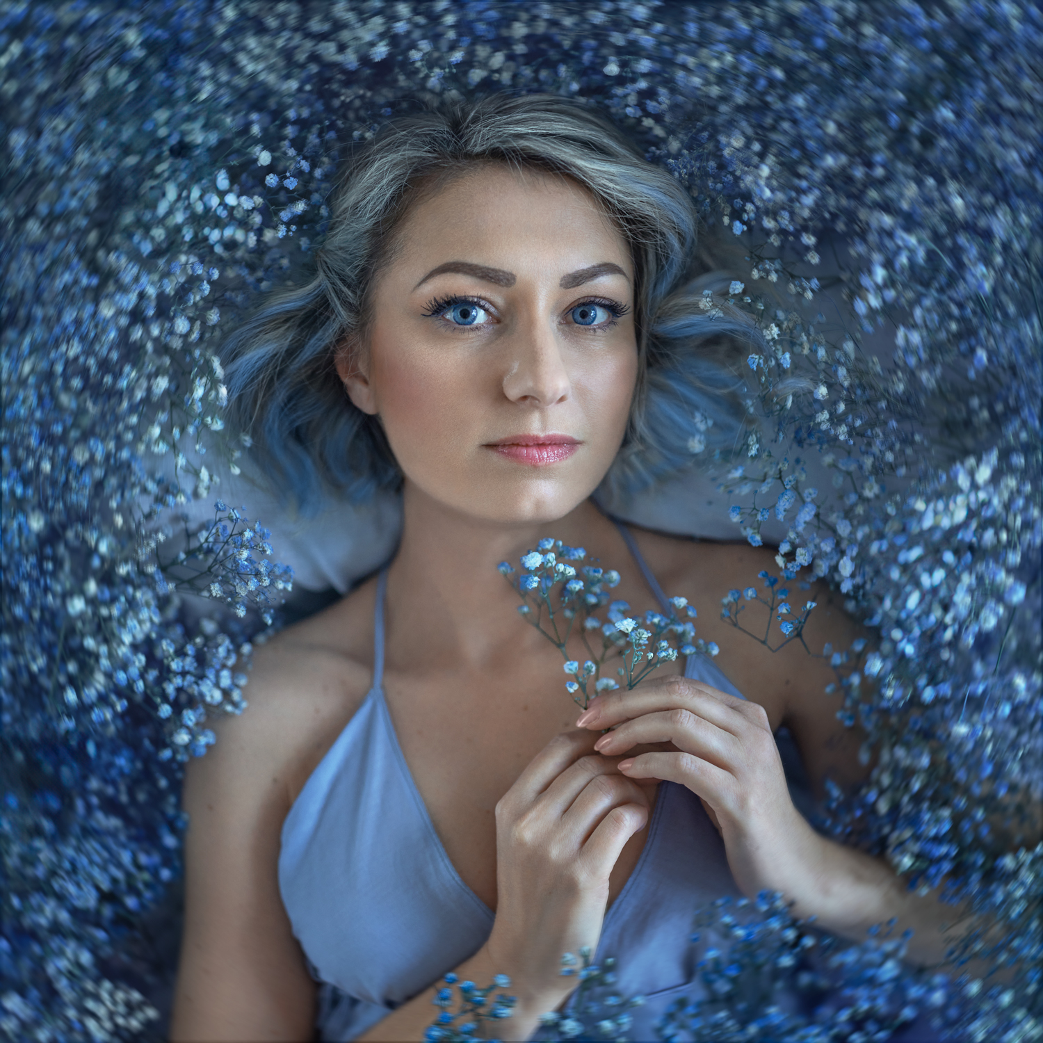 голубой, сон, мечта, гипсофила, цветы, бабочки, нежность, задумчивость, Natalie Seitner