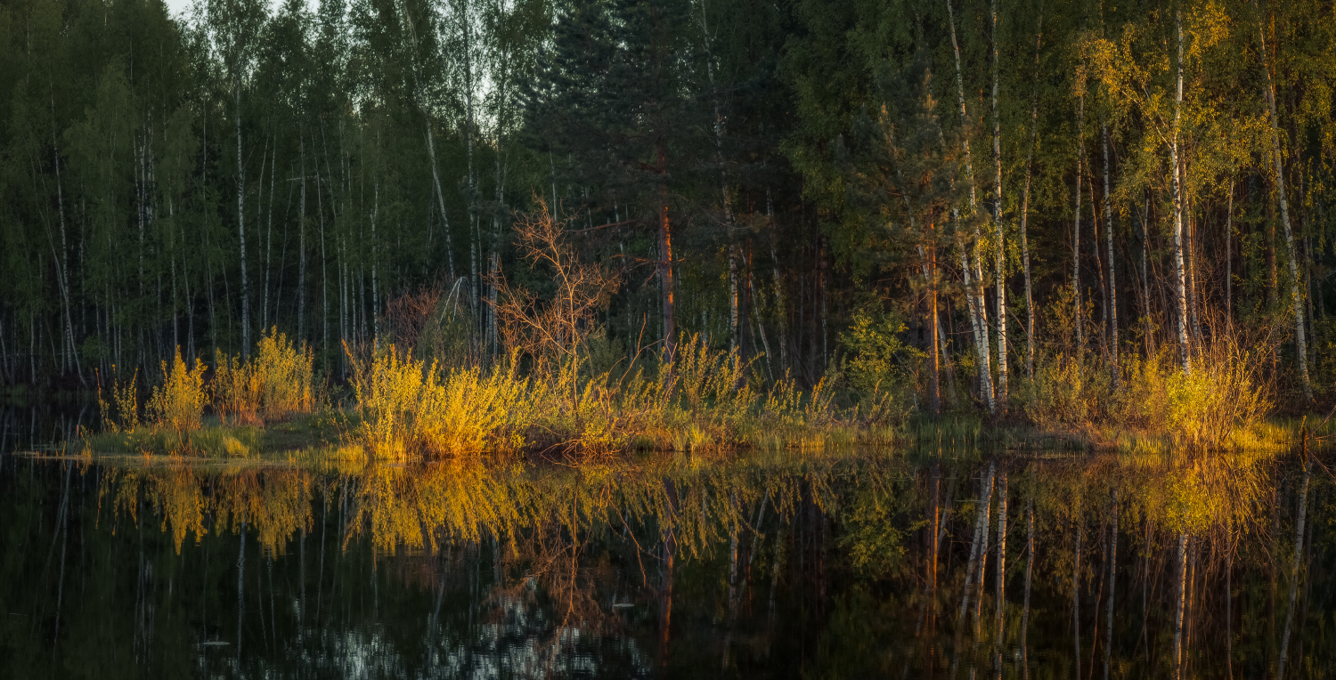 вечер лес речка отражение суходол, Алексеев Дмитрий