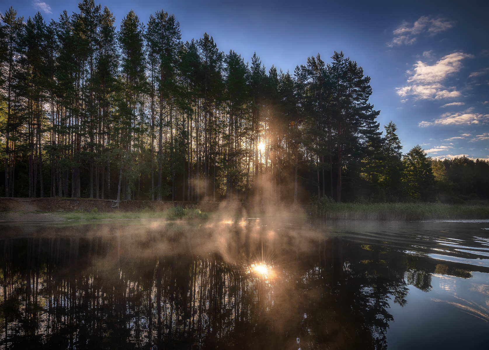 туман, лес, река, солнце, утро, восход, Сергей Аникин