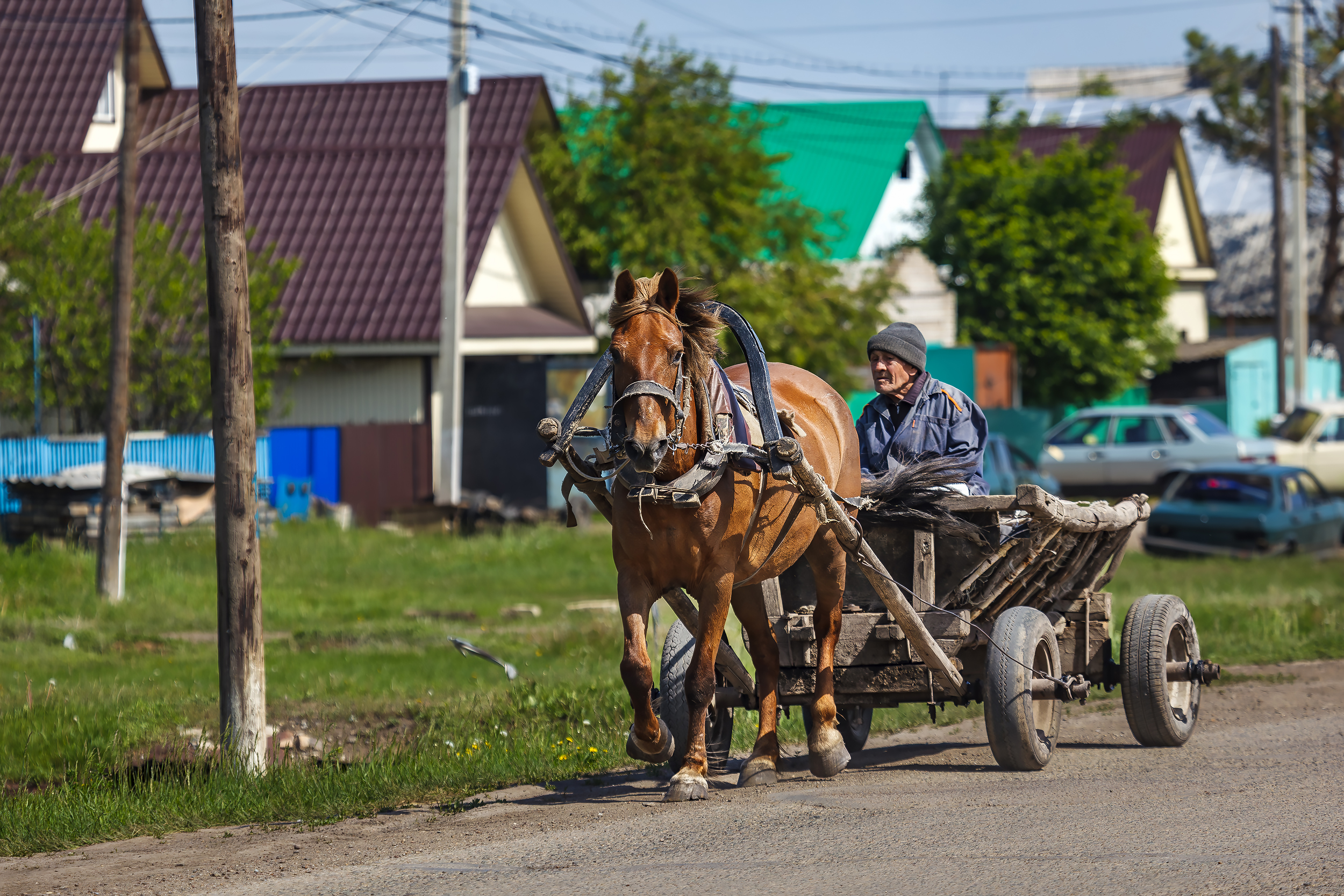 лошадь, деревня, повседневная жизнь, башкирия, село, телега, Дмитрий Уткин