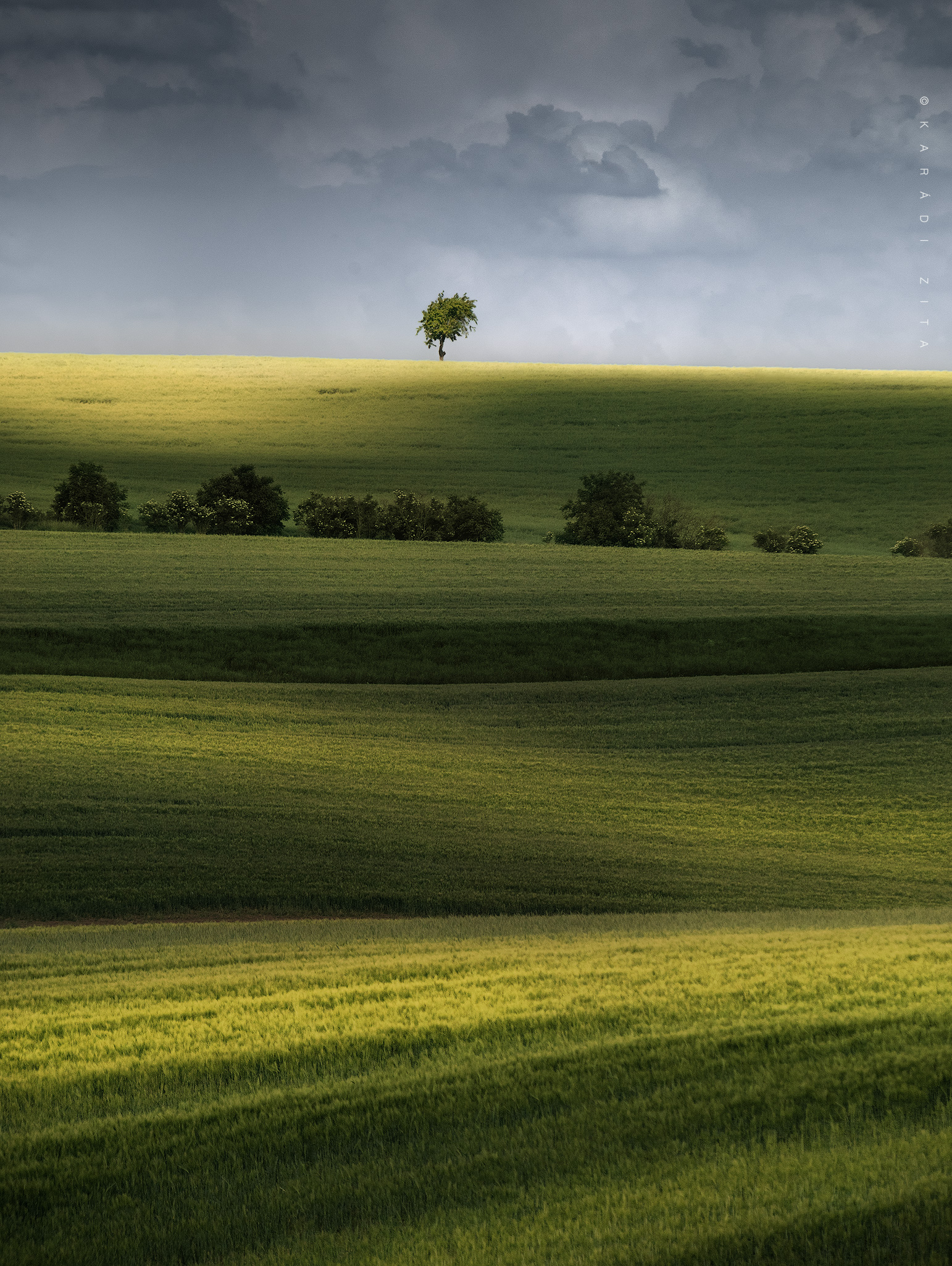 czech, moravia, south_moravia, landscape, lights, hills, field, trees, tree, agriculture, Karádi Zita