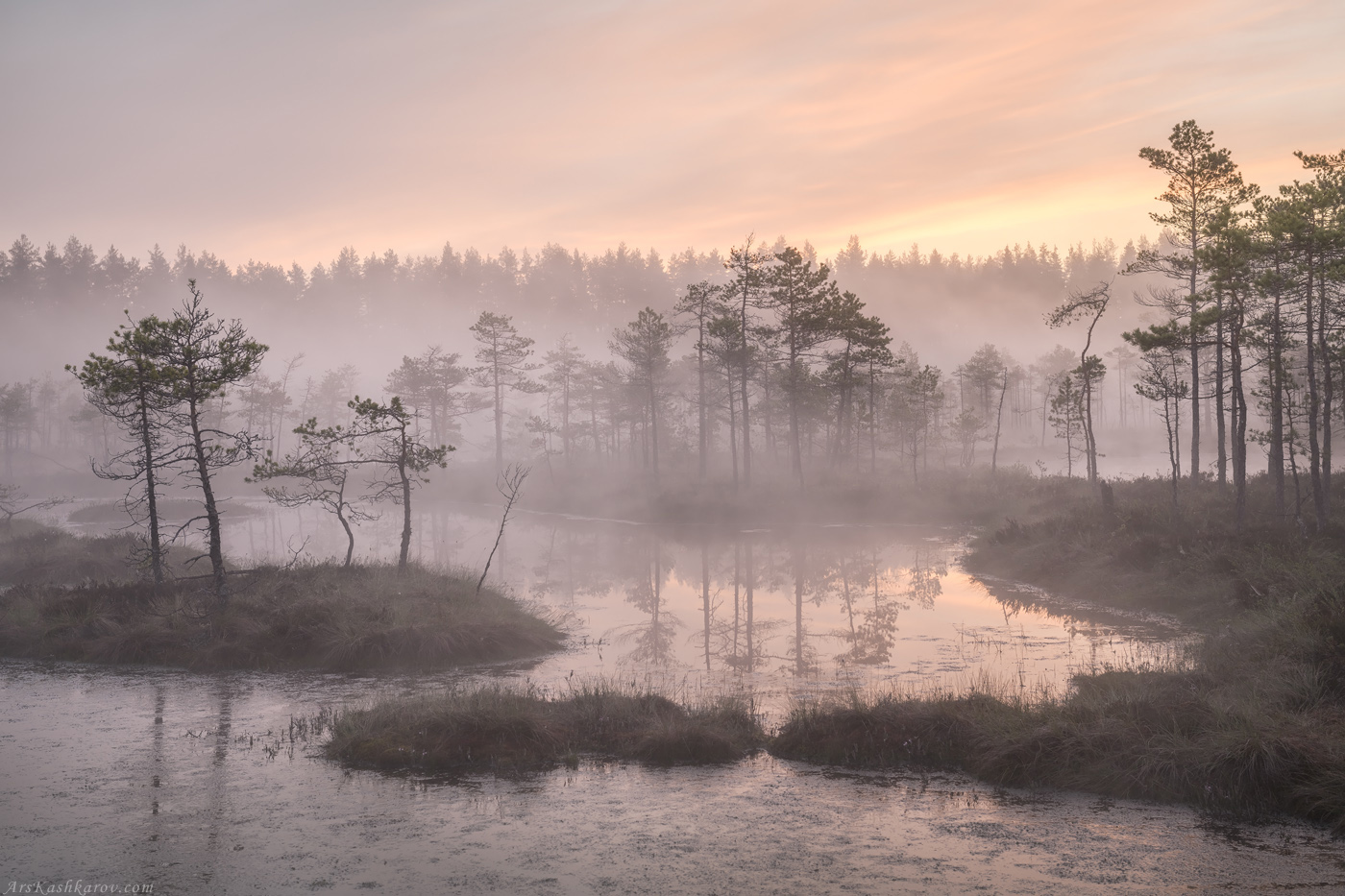 болота, природа ленинградской области, пейзажи ленобласти, утренний туман, живопись северных болот, фототур, мочажина, Арсений Кашкаров