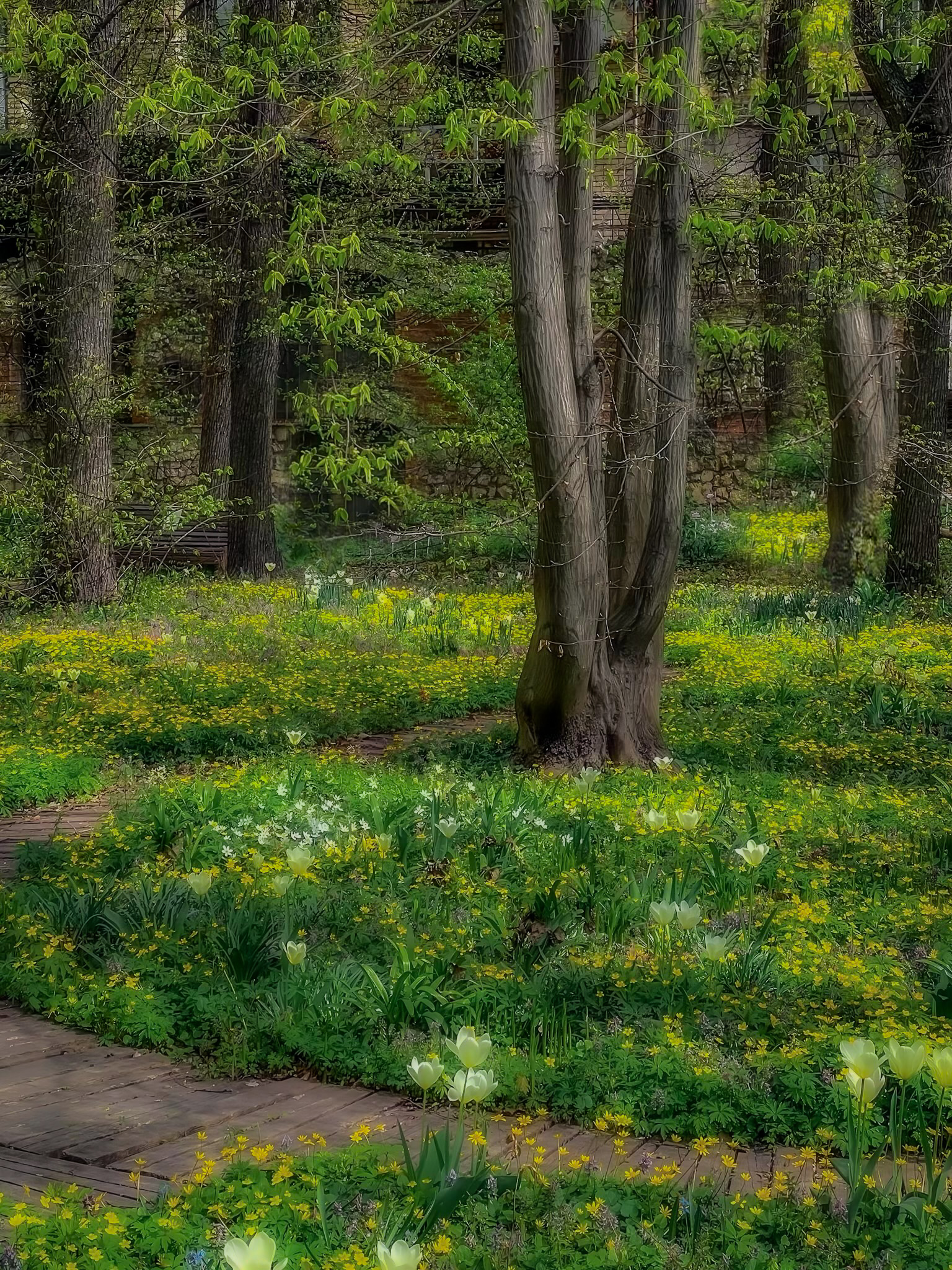 весна, spring, природа, nature, landscape, пейзаж, цветы, flowers, Julia Kaissa