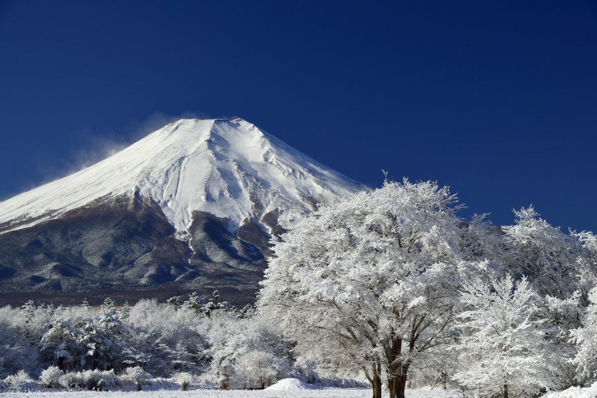 fuji,mountain,rime,snow,blue,white,japan,landscape,tree,, Takashi