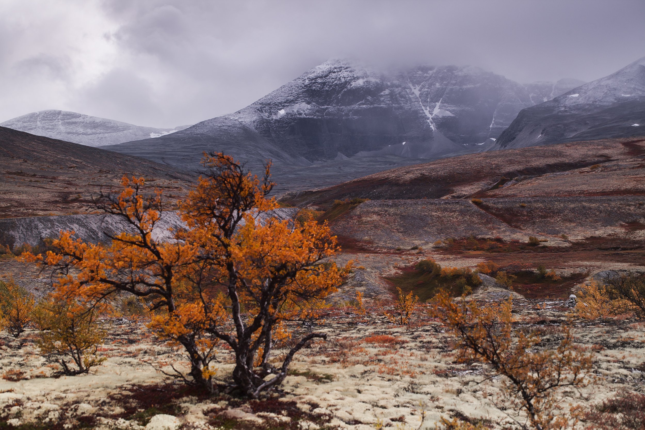 природа, Норвегия,осень, горы, Олег Жуков