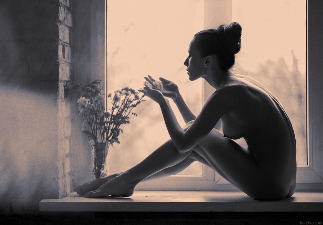 nude, art, nu, erotica, window, flowers, Roman Barelko