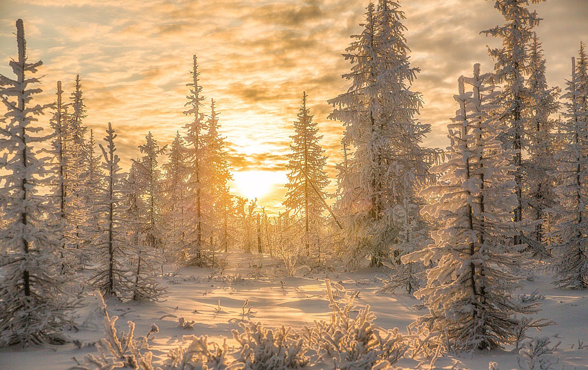Закат, Зима, Ноябрь, Снег, Pavel  Evgrafov