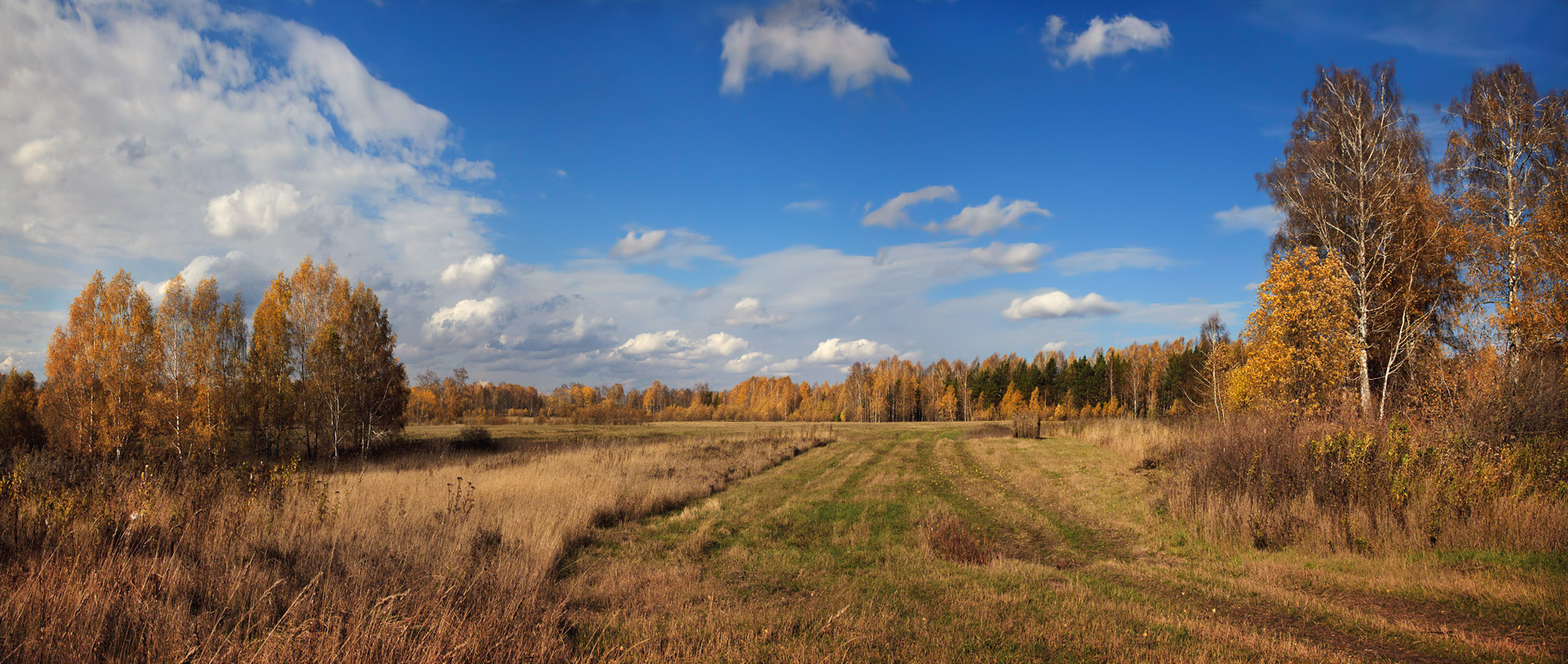 , Алексей Хахлов