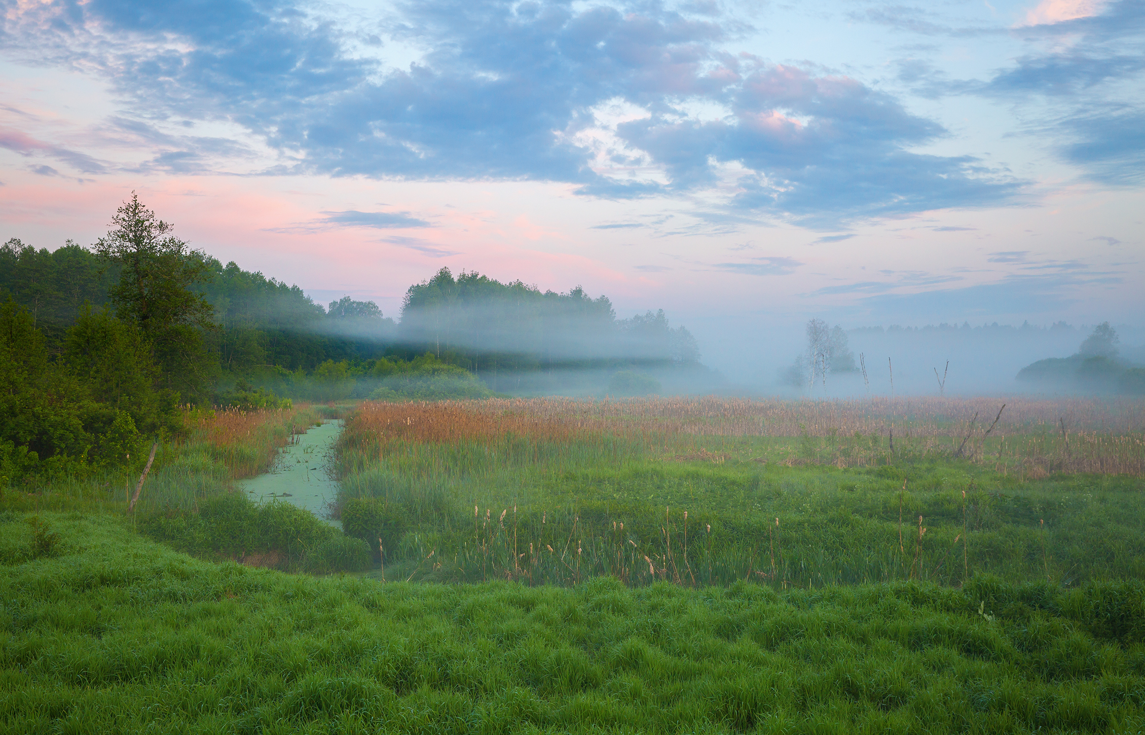 пейзаж, утро, туман, Алексей Назаров