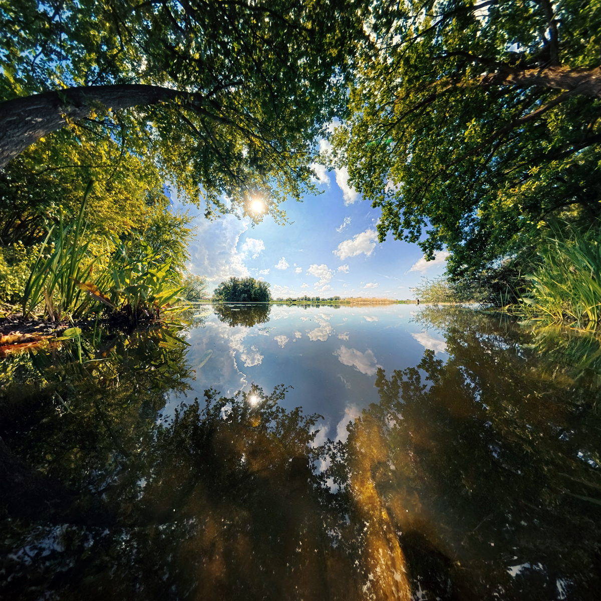 nature, oxbow, lake, relax, chillout, trees, sky, water, sunny, Wojciech Grzanka