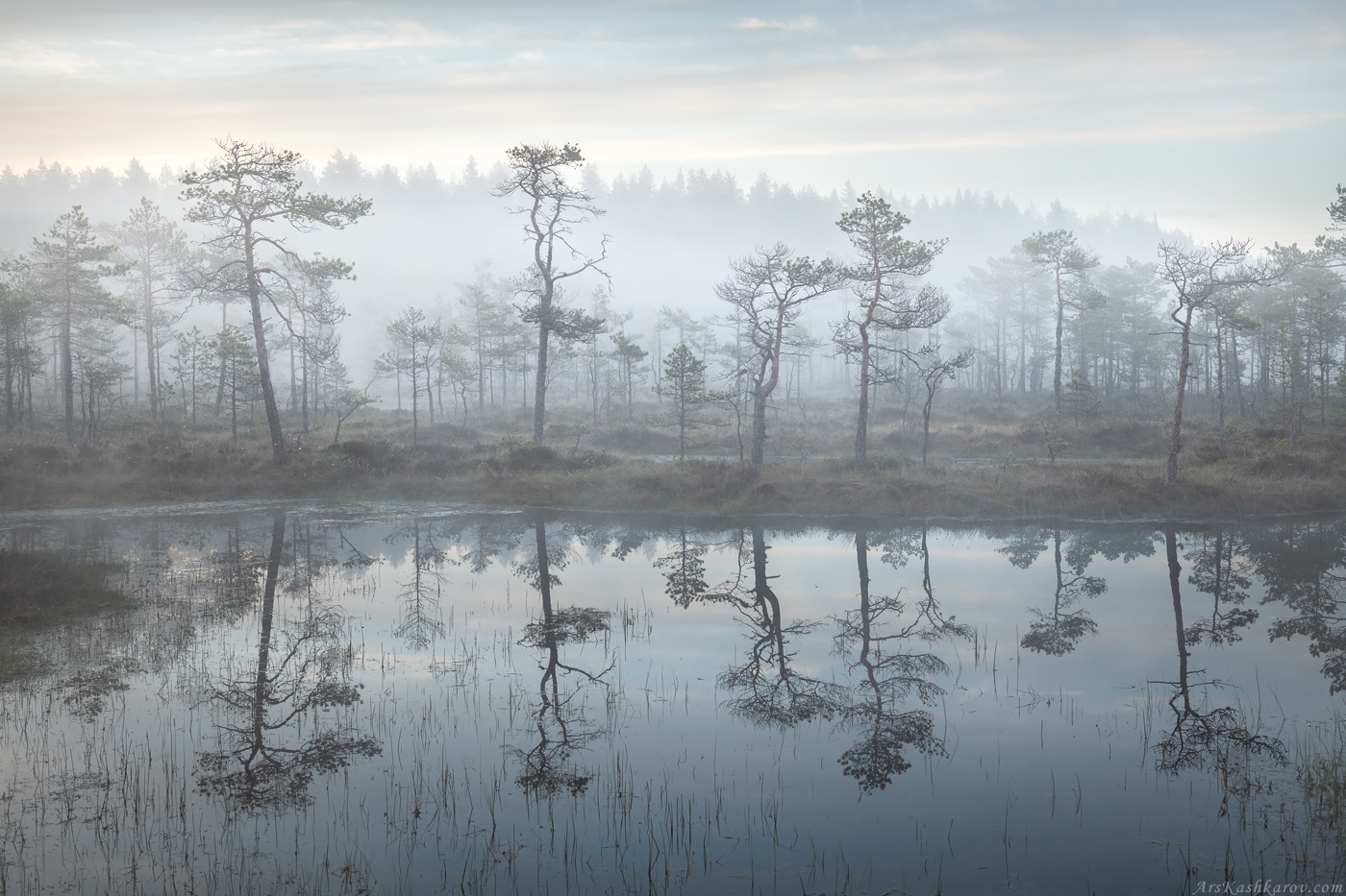 болота, природа ленинградской области, пейзажи ленобласти, утренний туман, живопись северных болот, фототур, мочажина, Арсений Кашкаров
