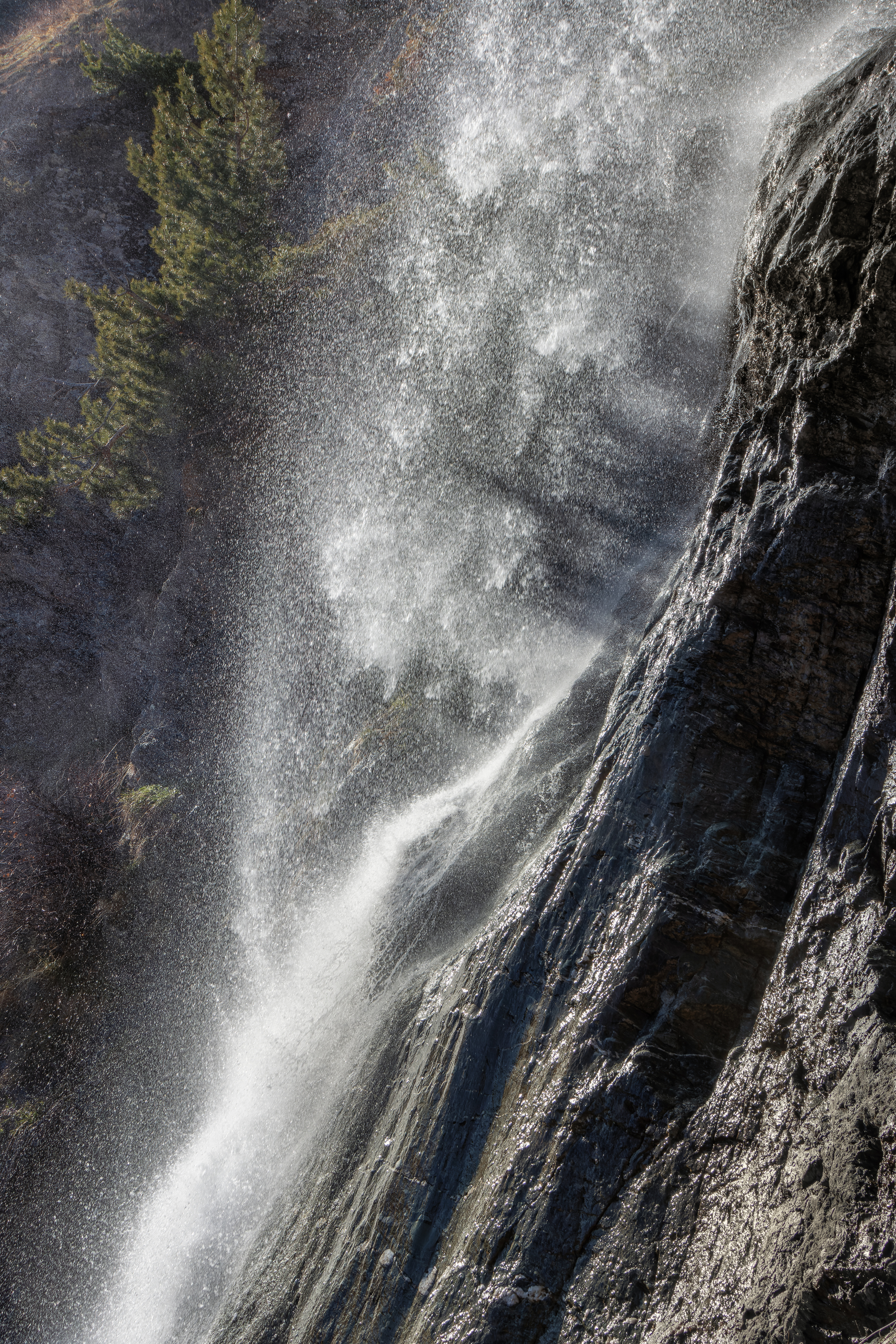 скала водопад ель солнце брызги поток, Светлана Холодняк