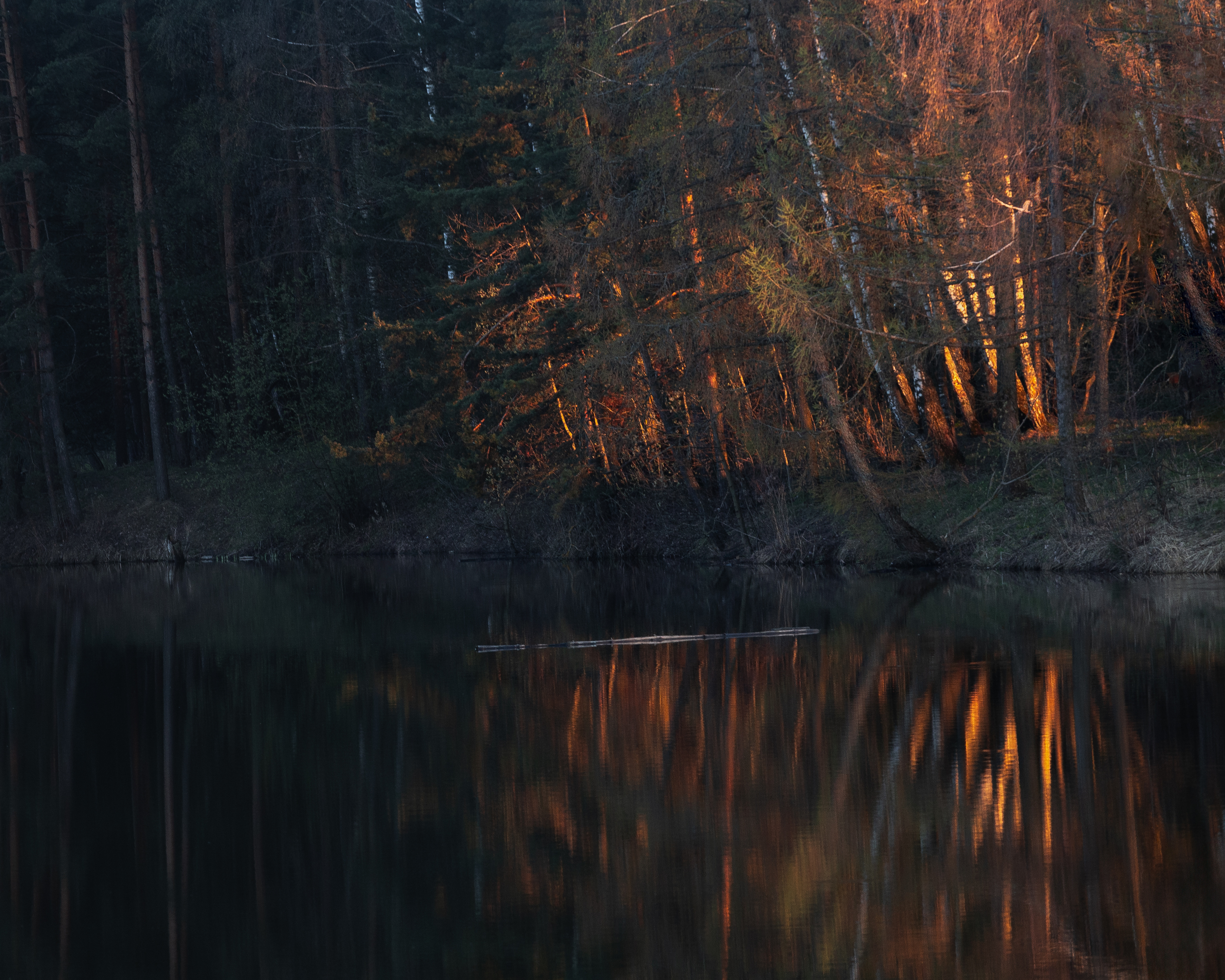 закат, природа, свет, лес, отражение, солнечный свет, пейзаж, Московская область, Мартыненко Дмитрий