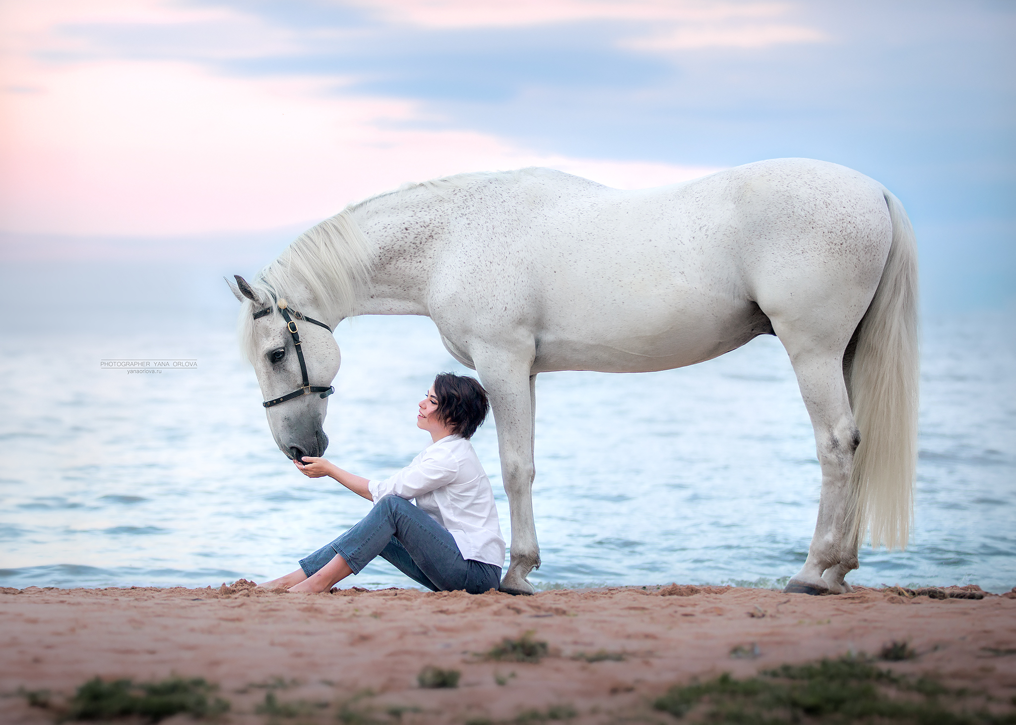 horse, horses, лошадь, конь, конный фотограф Яна Орлова,  конныйфотограф, кэнон, canon, 7020028, лошади, фотографияслошадью, фотосессияслошадью, фотосессиислошадьми, коннаяфотография, pferd, horsephotographer, женский портрет, девушка , Яна Орлова