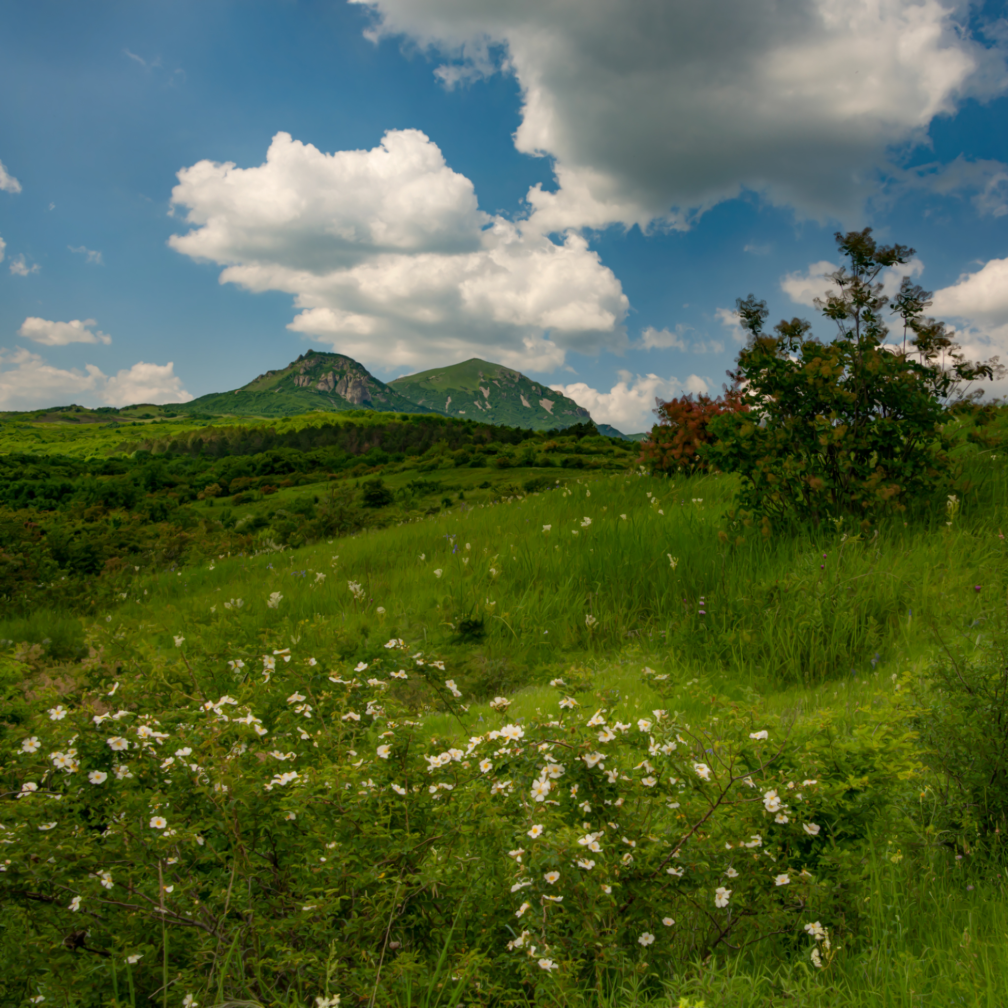 июнь,бештау,пейзаж,природа, кмв, Елена Брежицкая