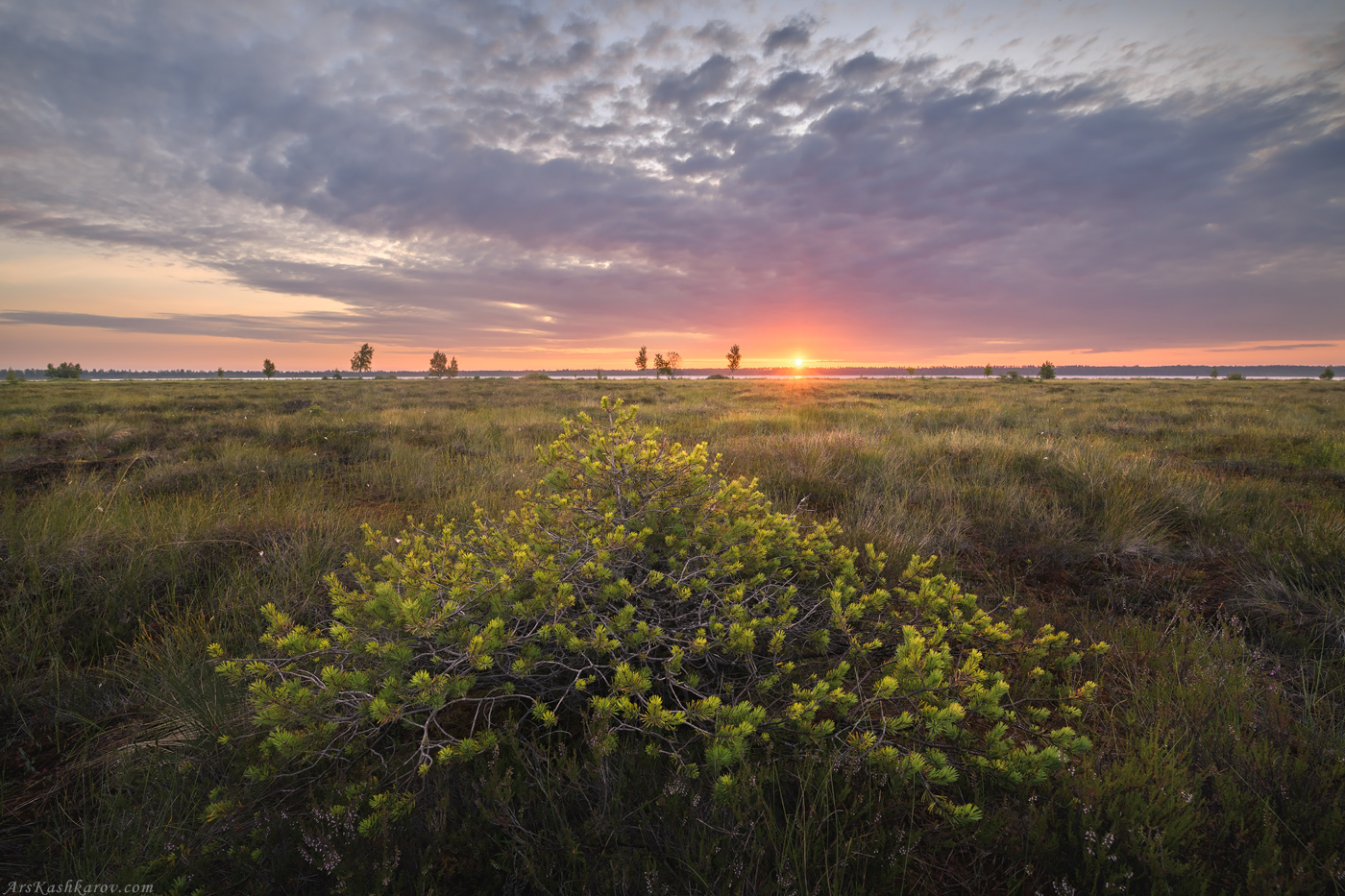 Арсений Кашкаров фотограф