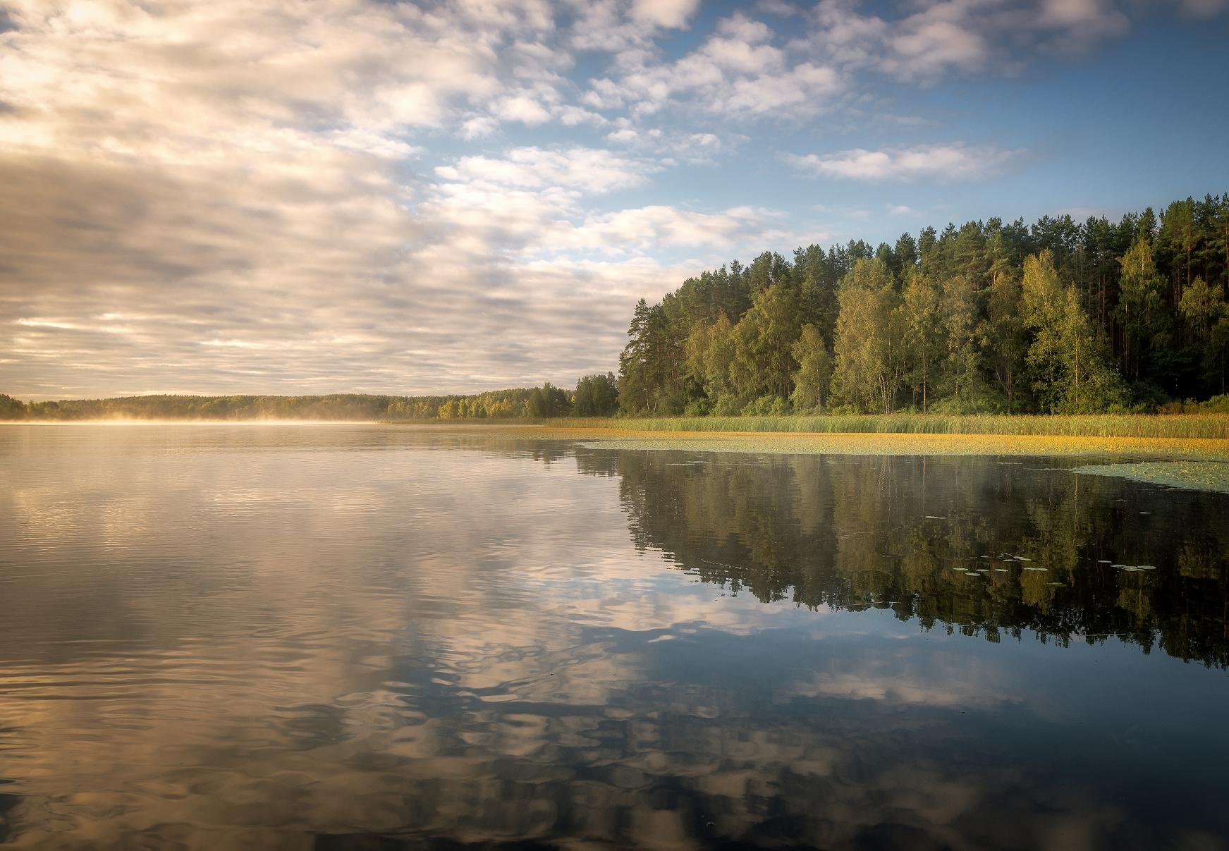 озеро, утро, туман, лес, Сергей Аникин