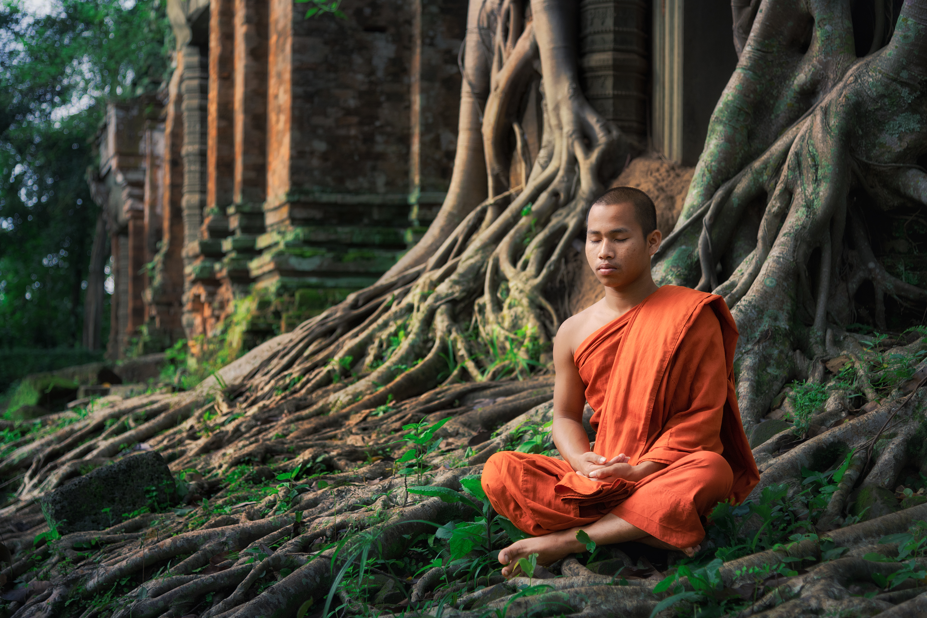 камбоджа, монах, монах, буддизм, буддистский, азия, джунгли, ангкор, ангкор ват, сием рип, cambodia, asia, monk, monk, jungle, angkor, angkor wat, siem reap, Эрнест Вахеди