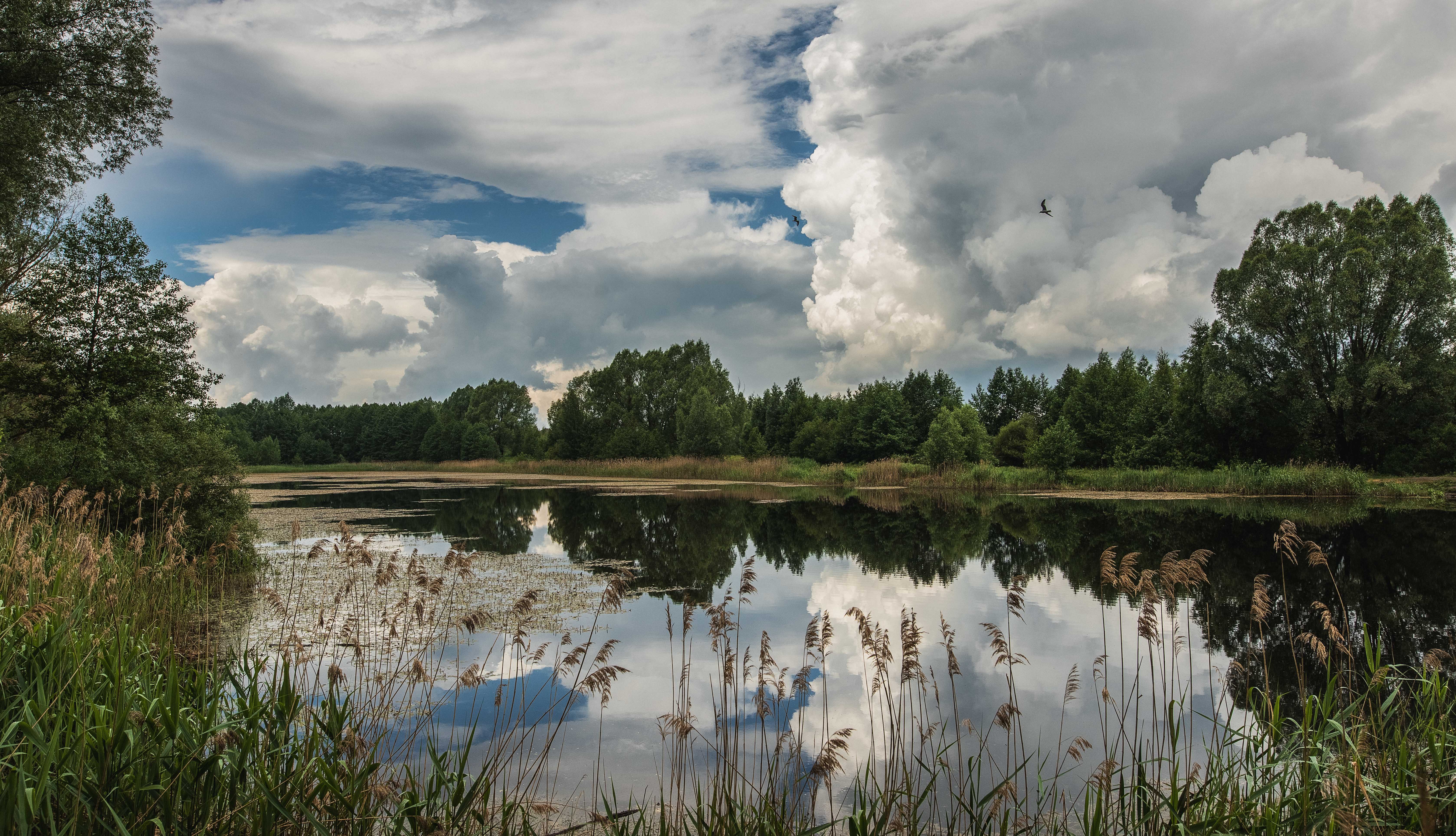 пейзаж, landscape, пруд, небо, облака, pond, sky, clouds, Васильев Владимир