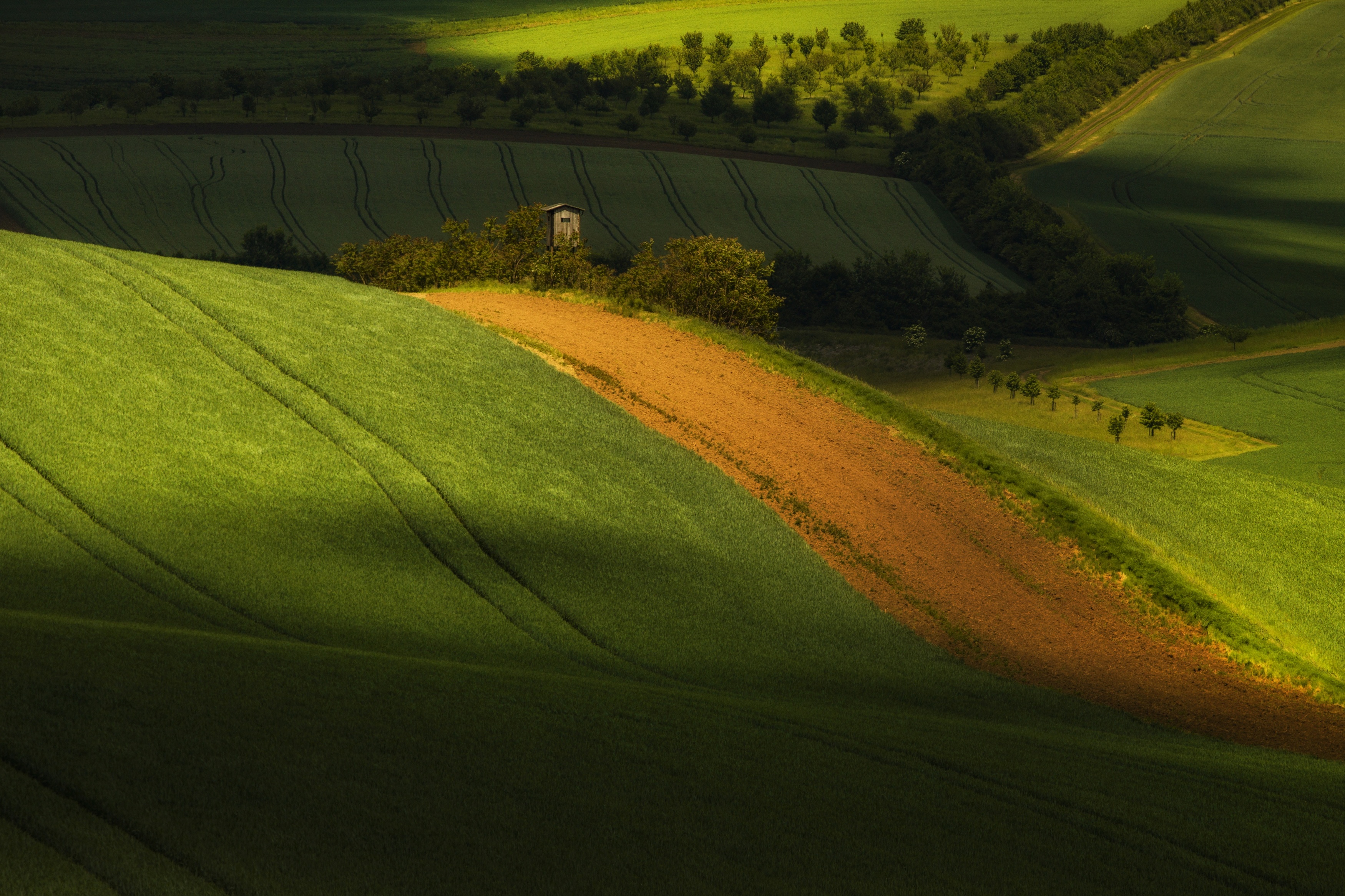 Agricultura, Field, Agriculture, Green, Day, Nature, Landscape, Moravia, Moravske-Toskansko, Rural, Damian Cyfka